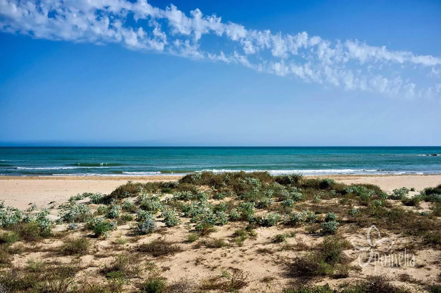 Day, Beach in B&B Giostemar - Playa Grande