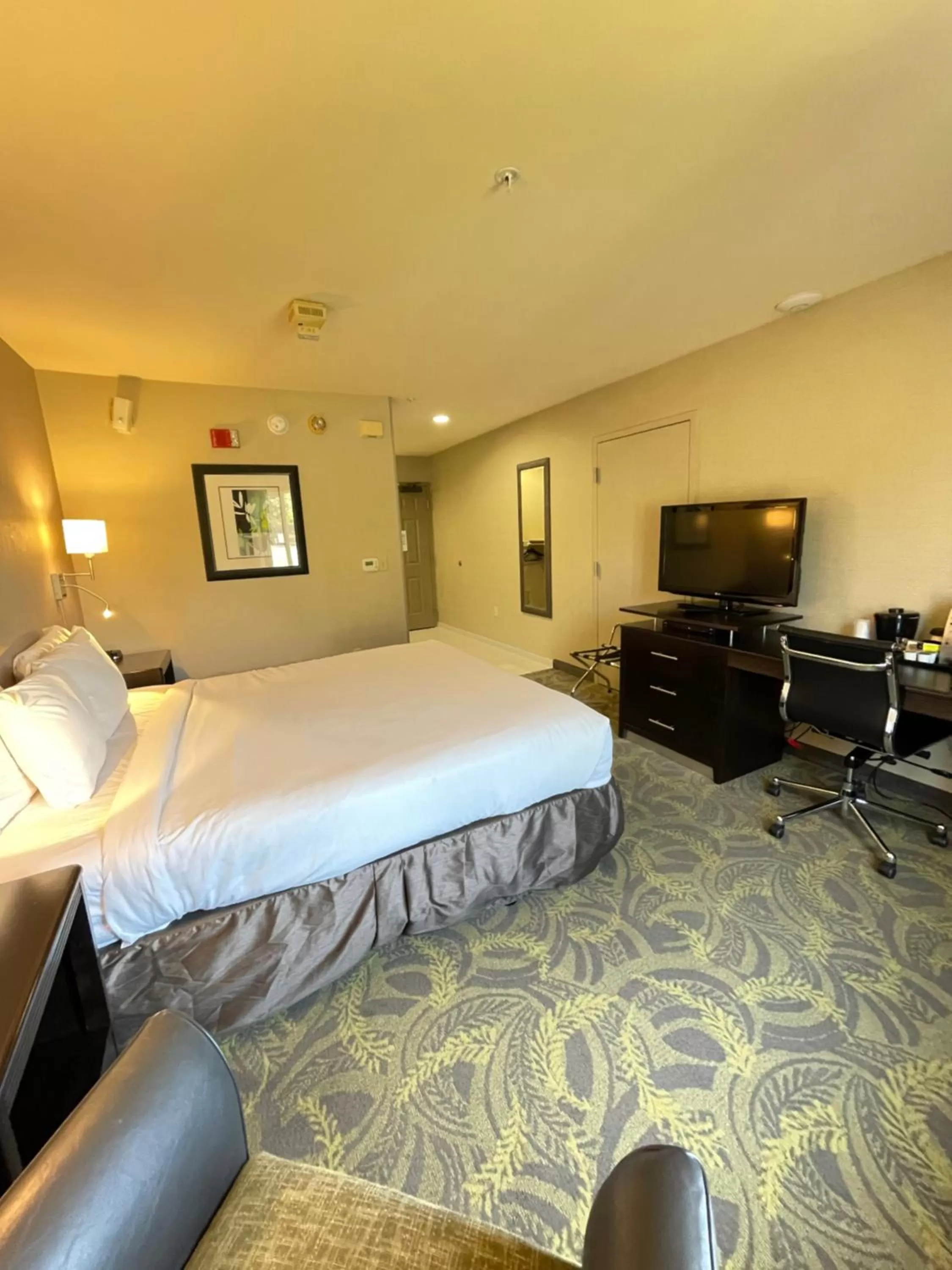 Guests, Bed in Country Inn & Suites by Radisson, San Carlos, CA