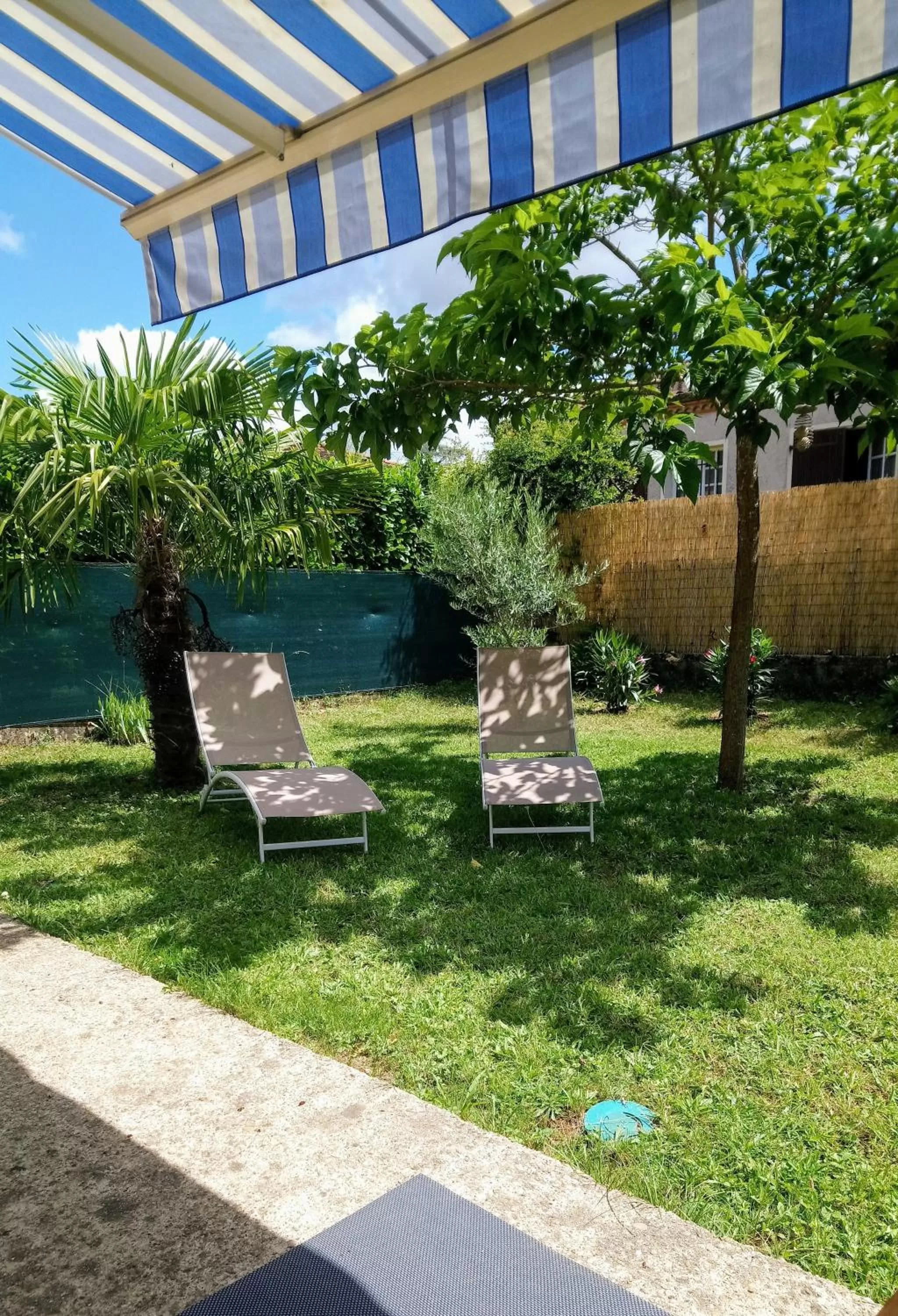 Garden in Fleurs de Cosmos