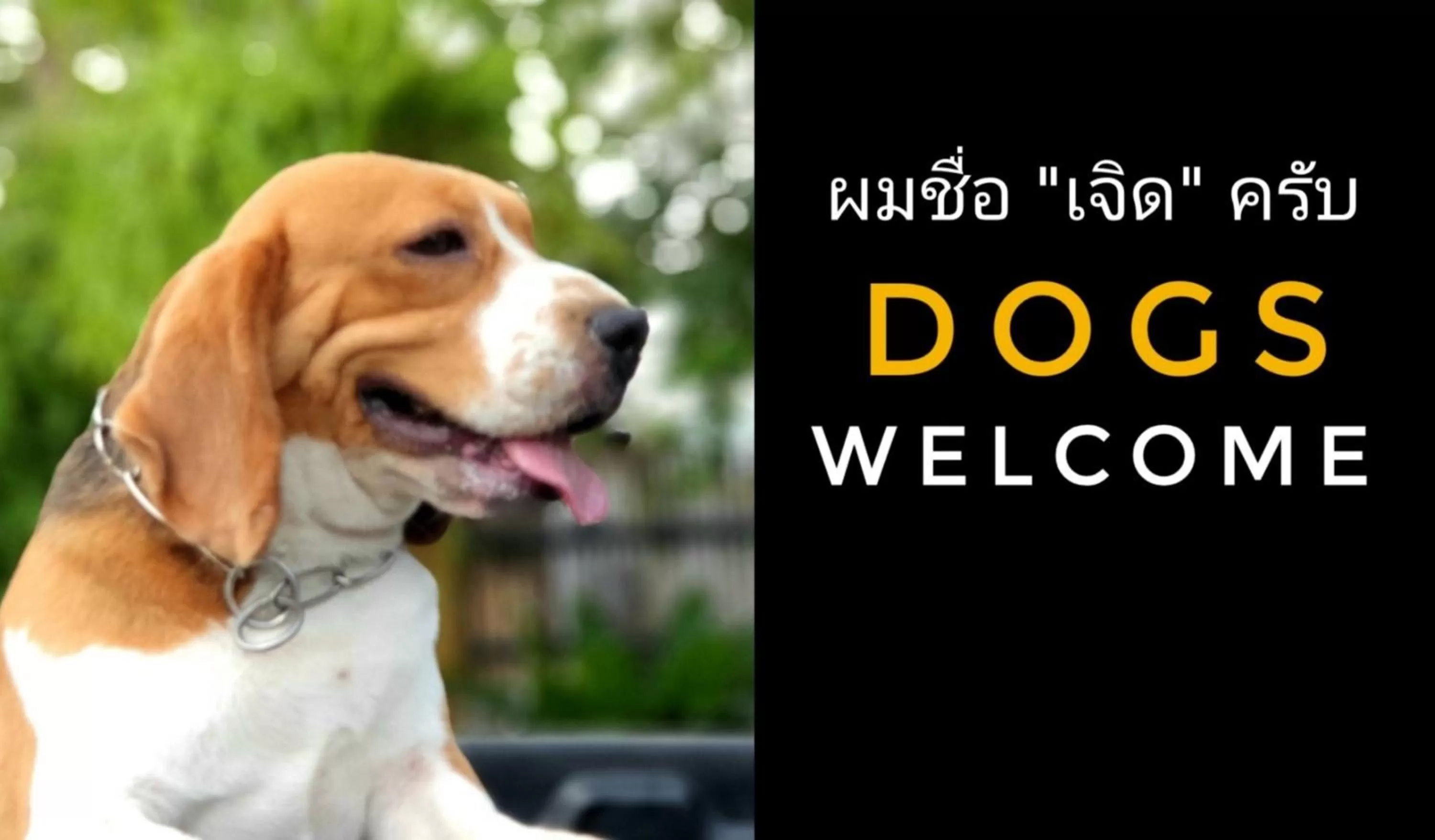 Other in Amara Resort Hua Hin