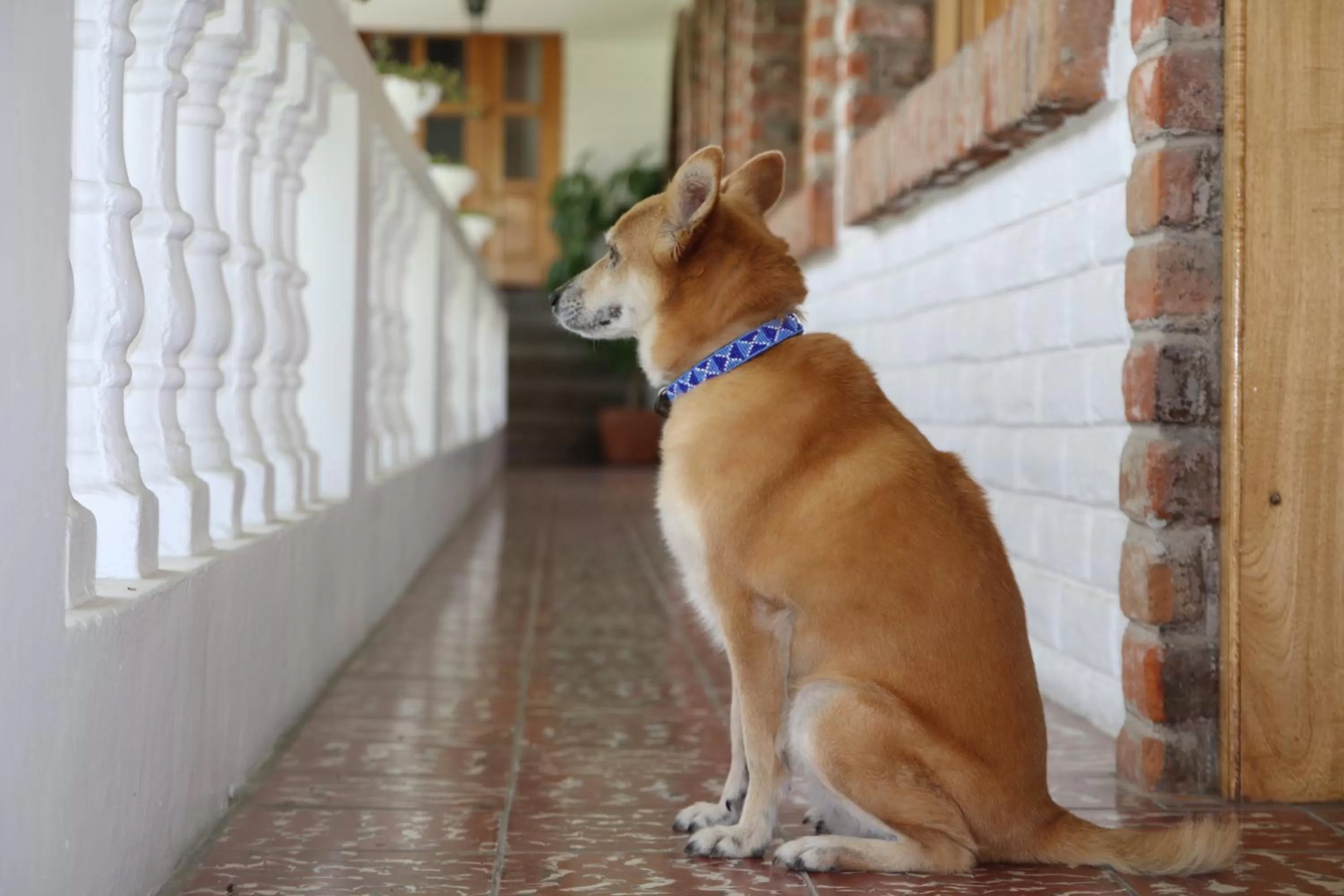 La Posada del Quinde