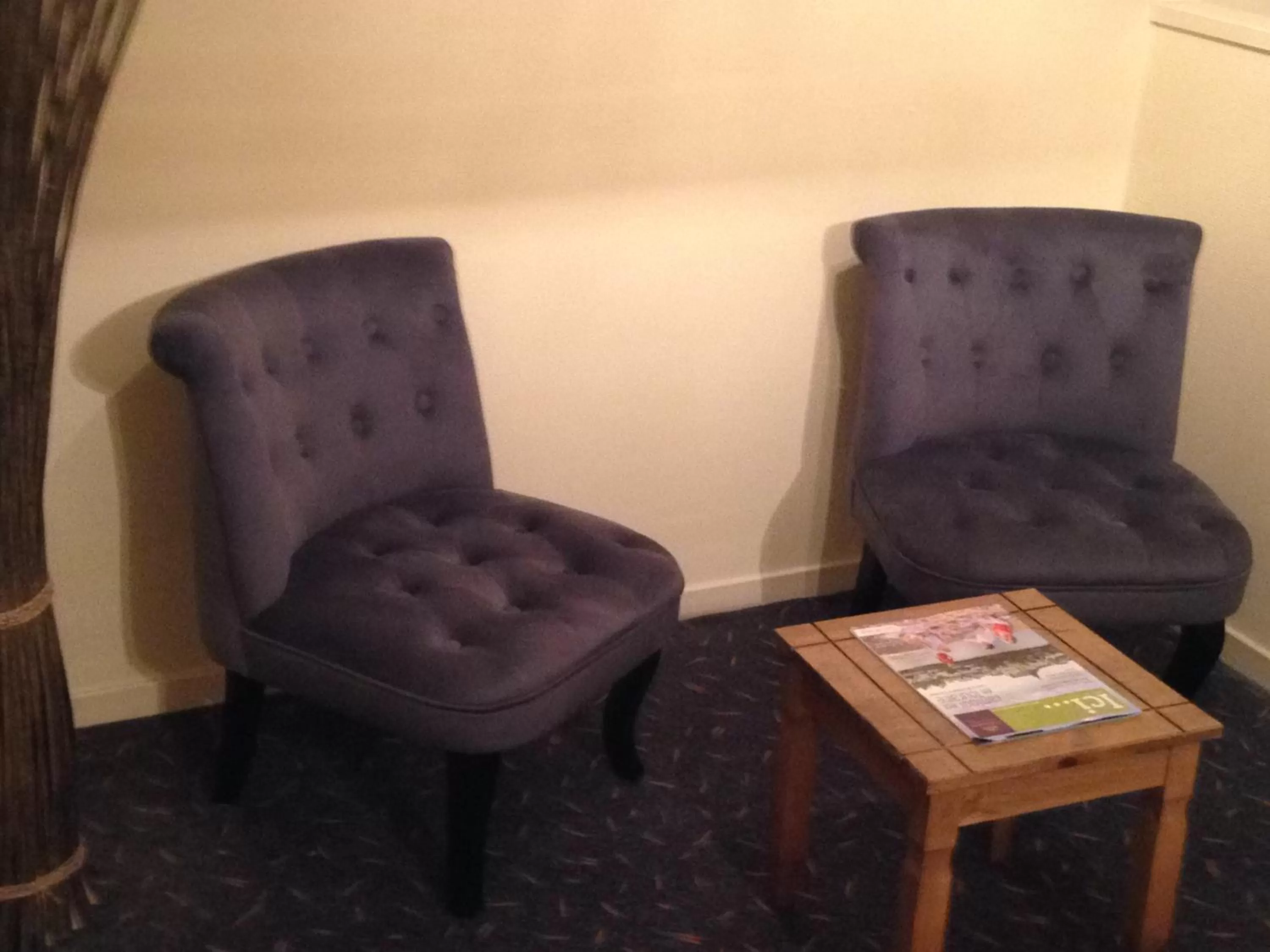 Decorative detail in hôtel QUICK Palace Tours Nord