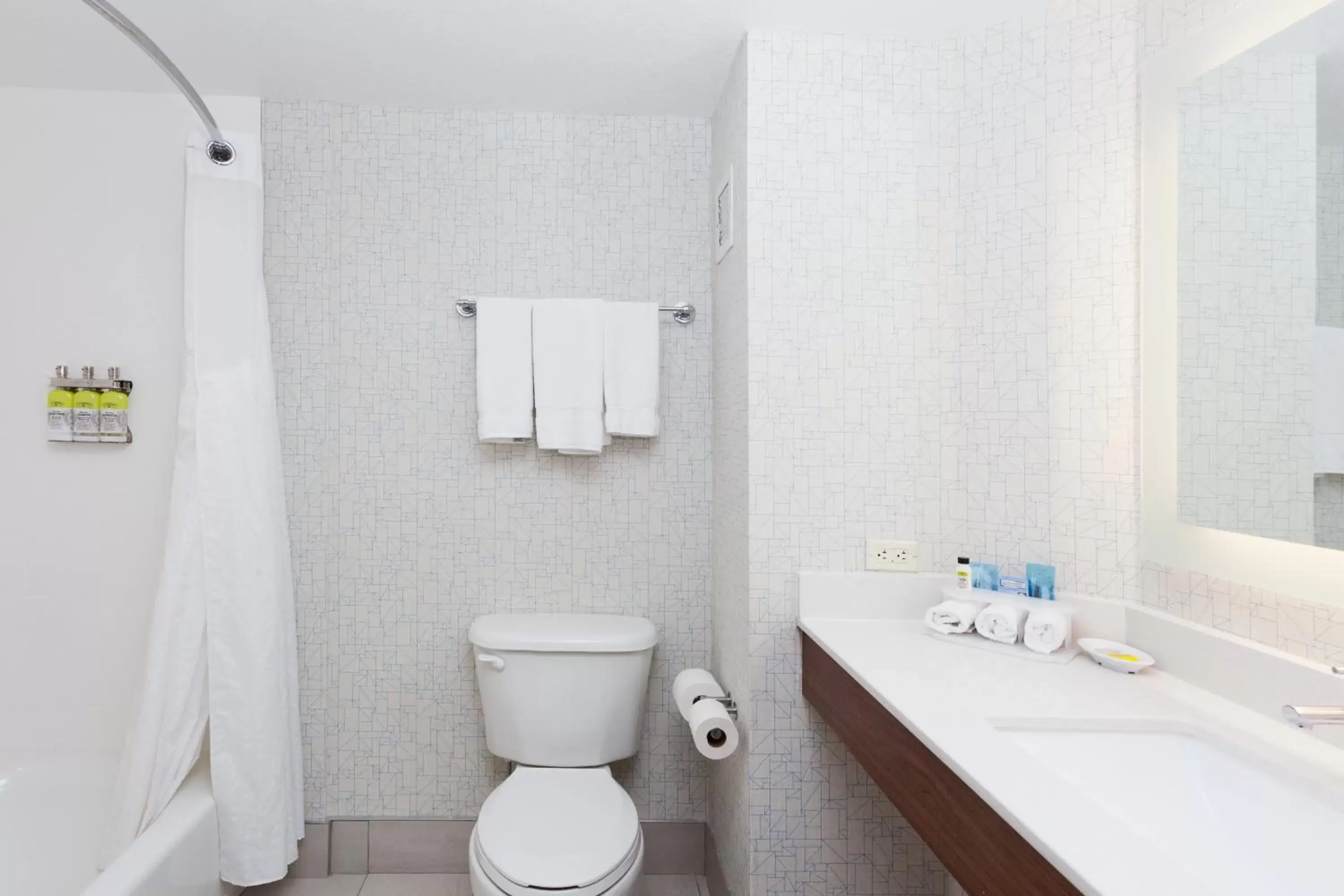 Standard Room in Holiday Inn Express Hotel & Suites Montgomery Boyd-Cooper Parkway, an IHG Hotel Standard Room in Holiday Inn Express Hotel & Suites Montgomery Boyd-Cooper Parkway, an IHG Hotel