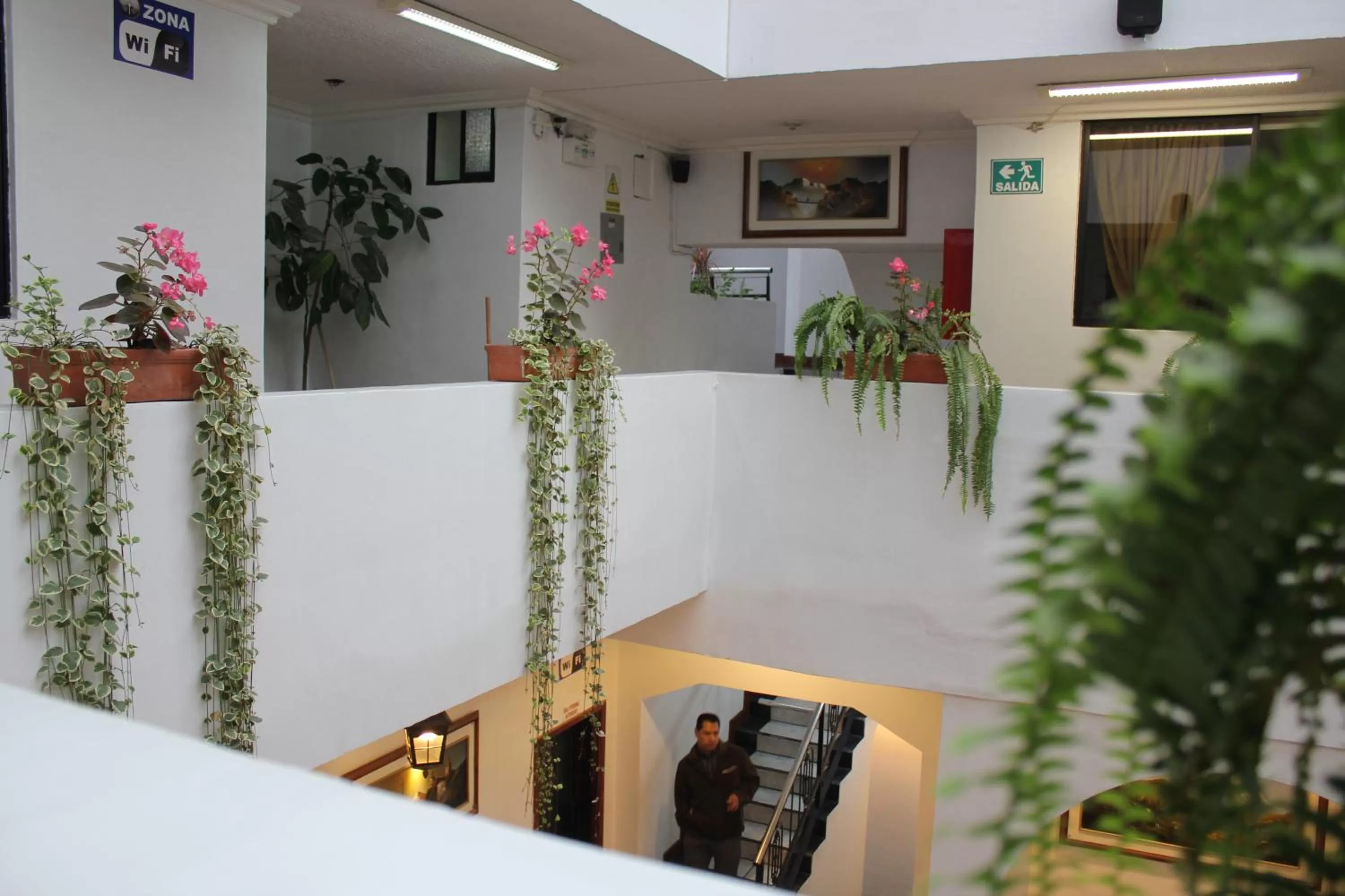 Property building in Hotel David