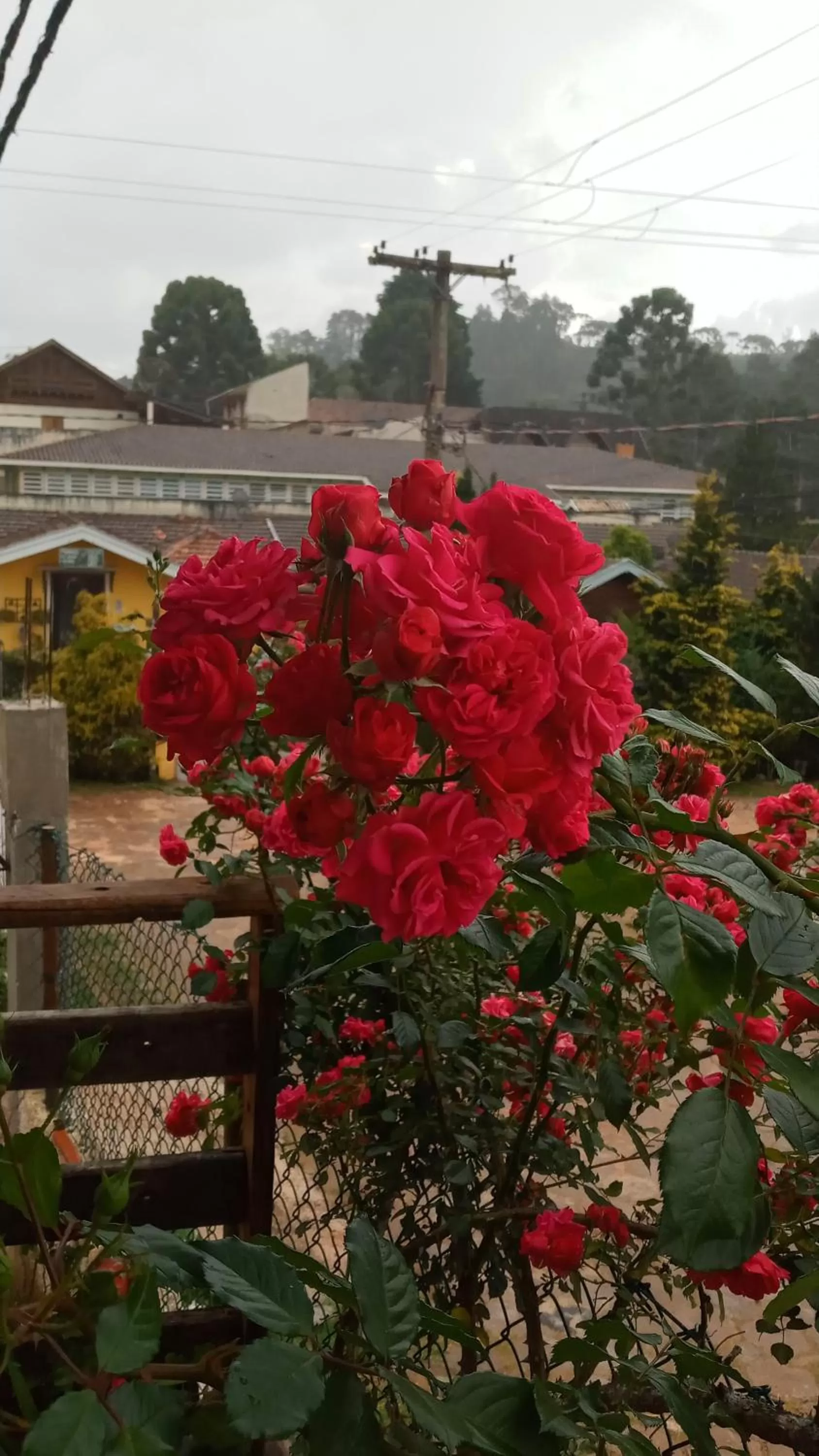 Suítes para fins de semana