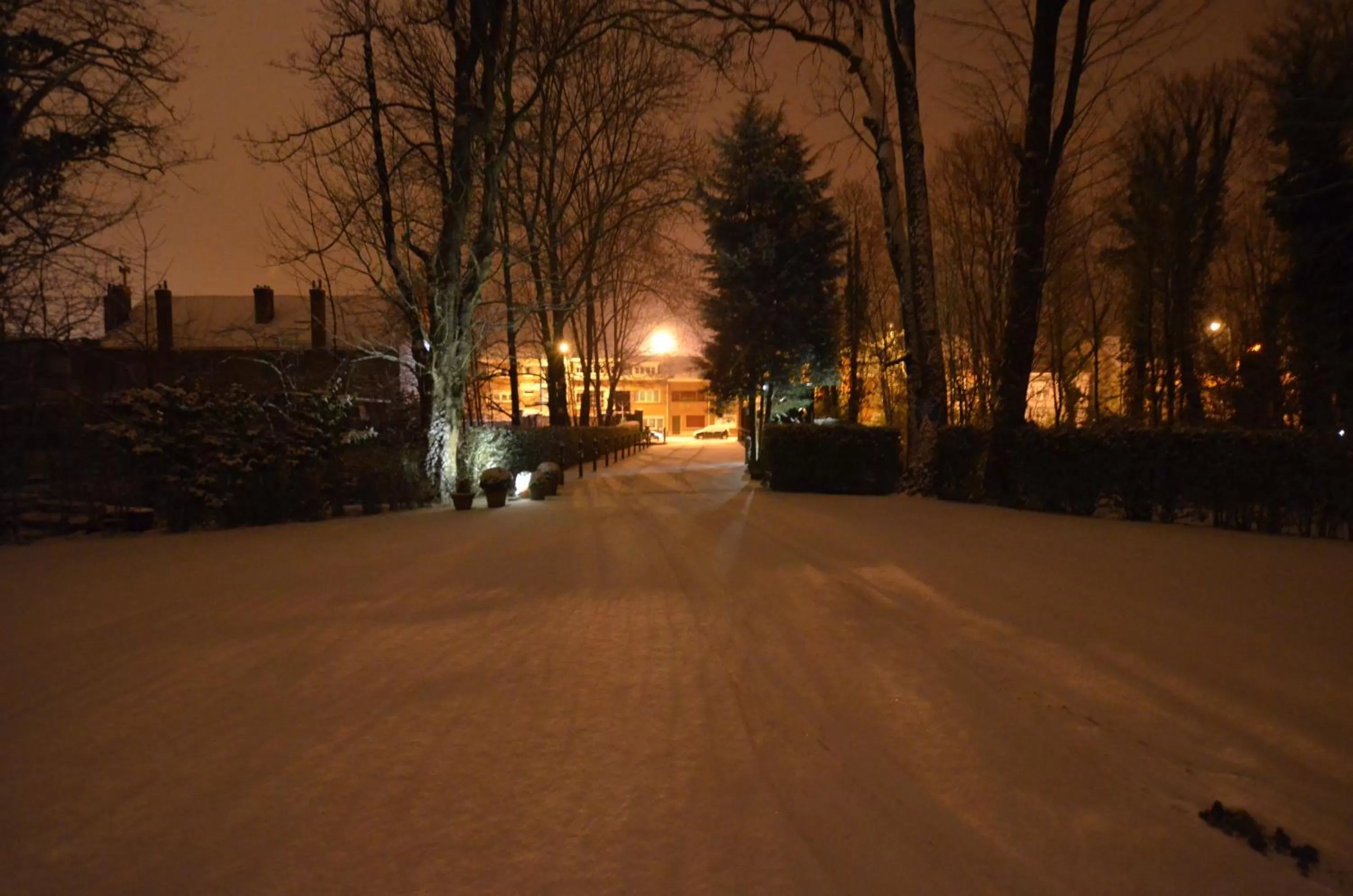 Winter in Hotel Malcot