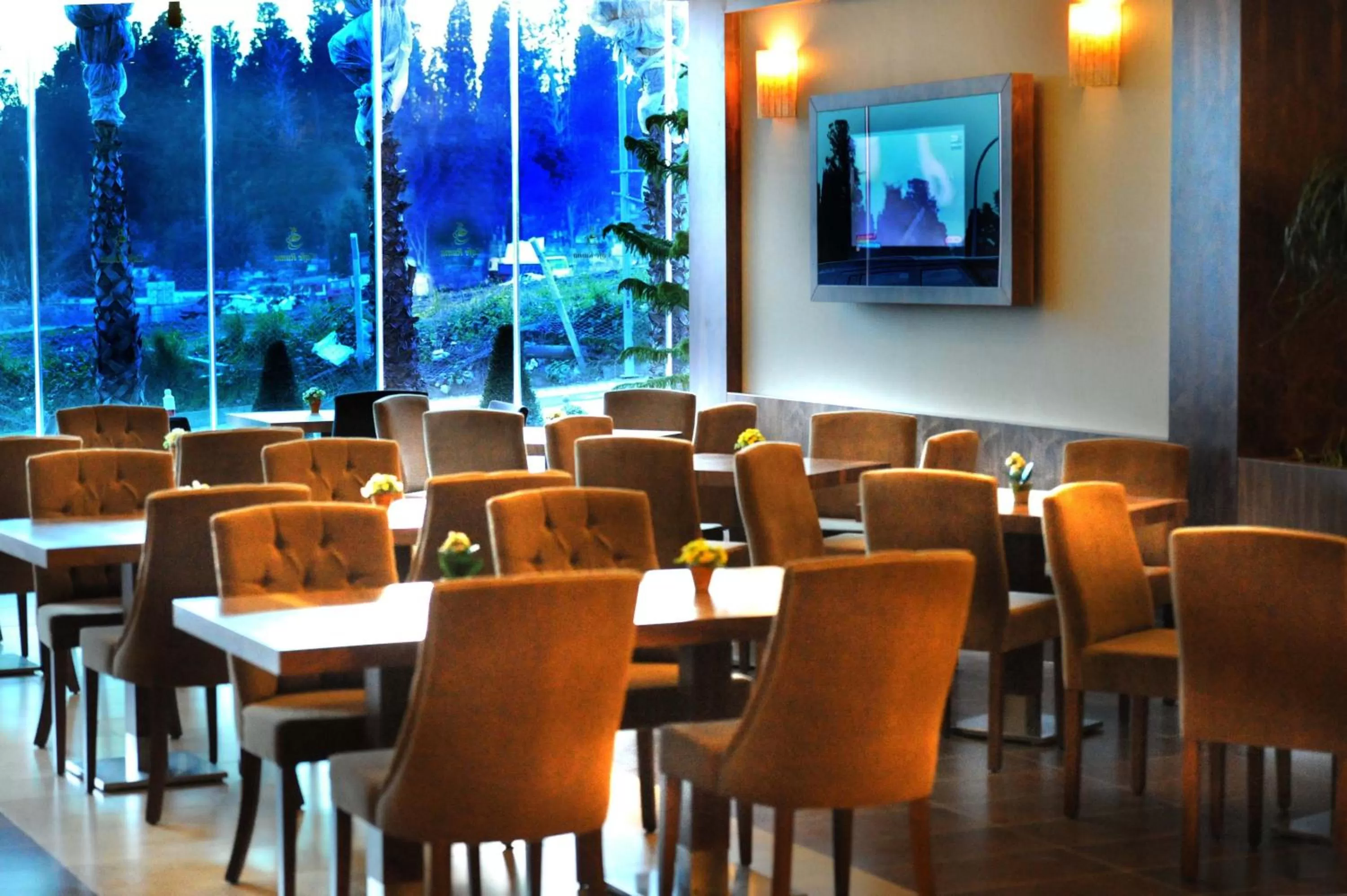 Restaurant/places to eat in Volley Hotel Istanbul