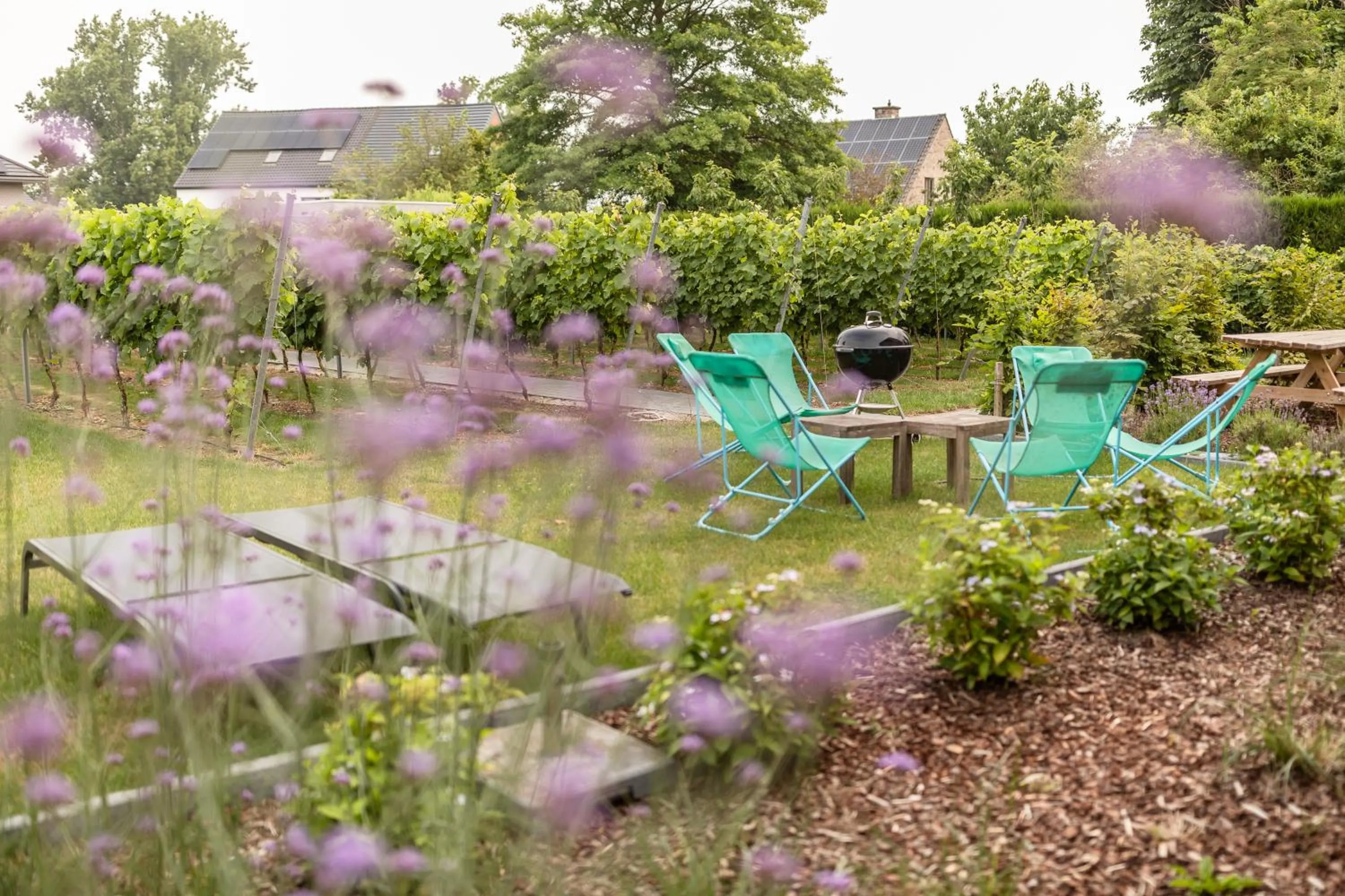 Garden in B&B Abalona