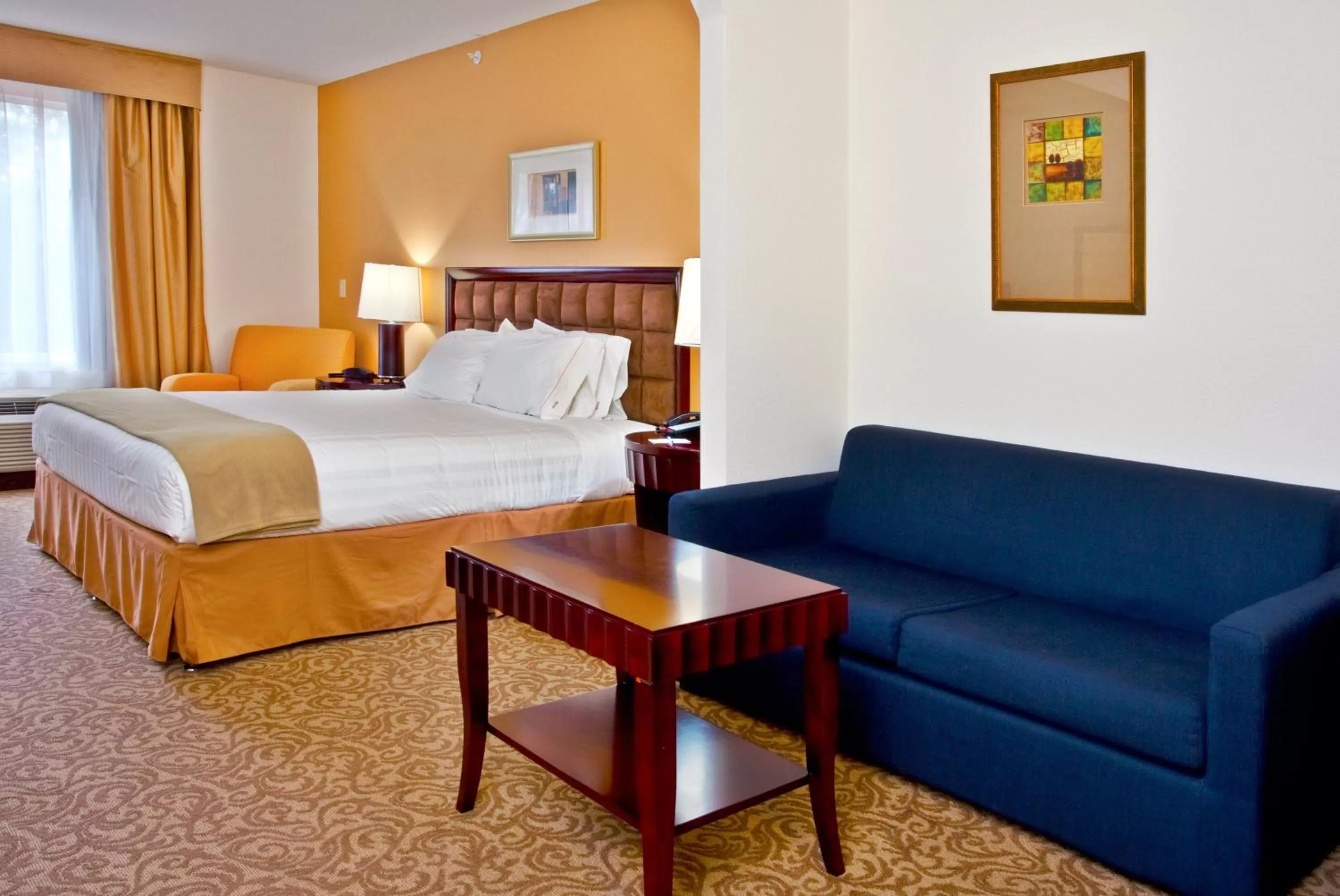 Photo of the whole room, Bed in Holiday Inn Express Hotel & Suites Brooksville-I-75 by IHG