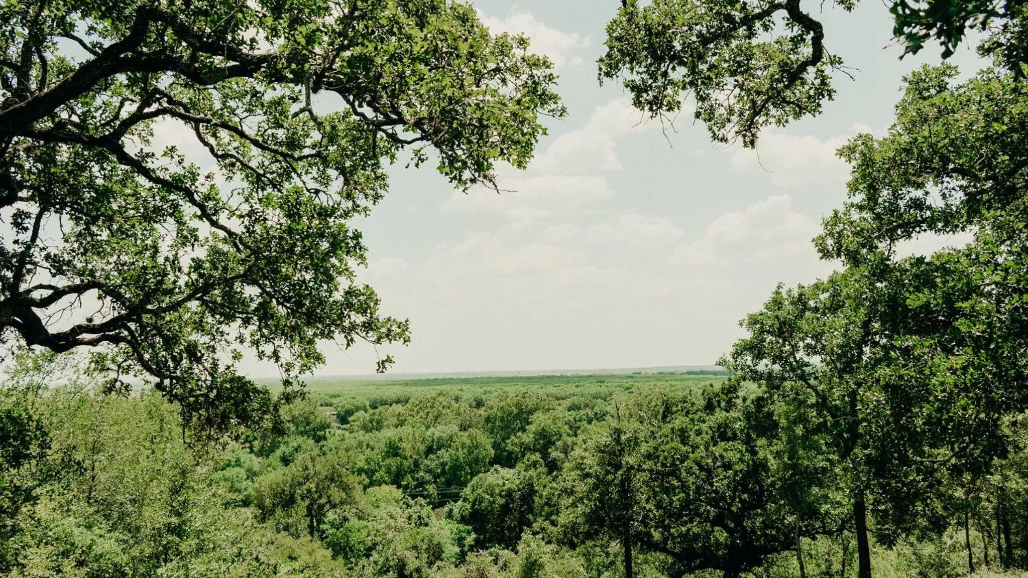 River view, Natural Landscape in Casa del Rio Bed and Breakfast
