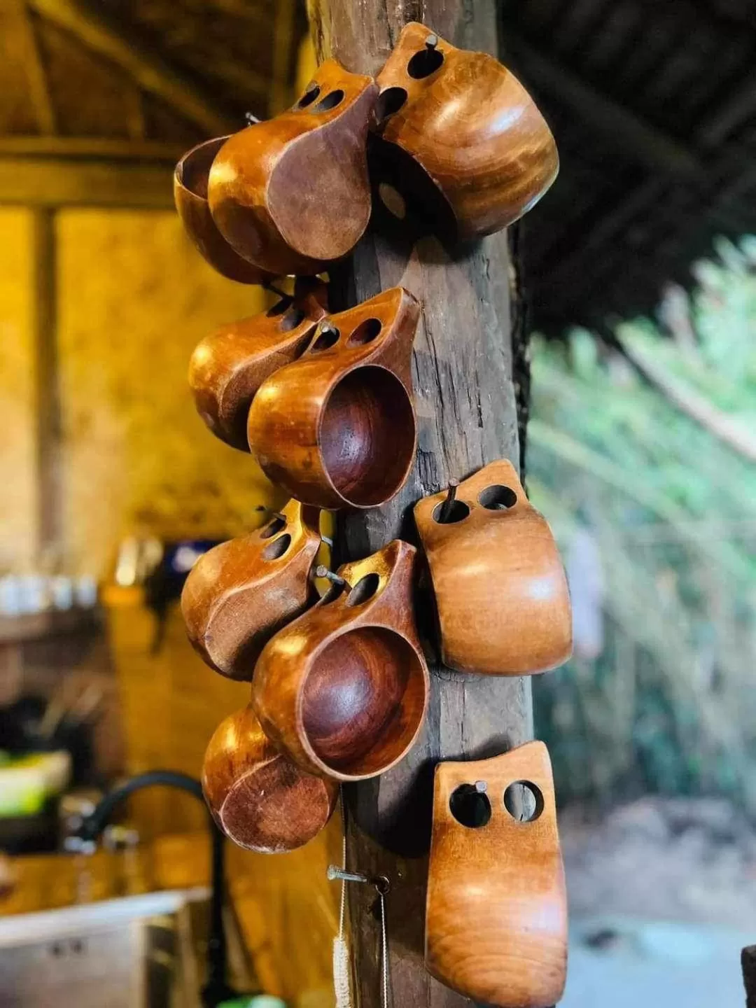 Sanctuaria Treehouses Busuanga