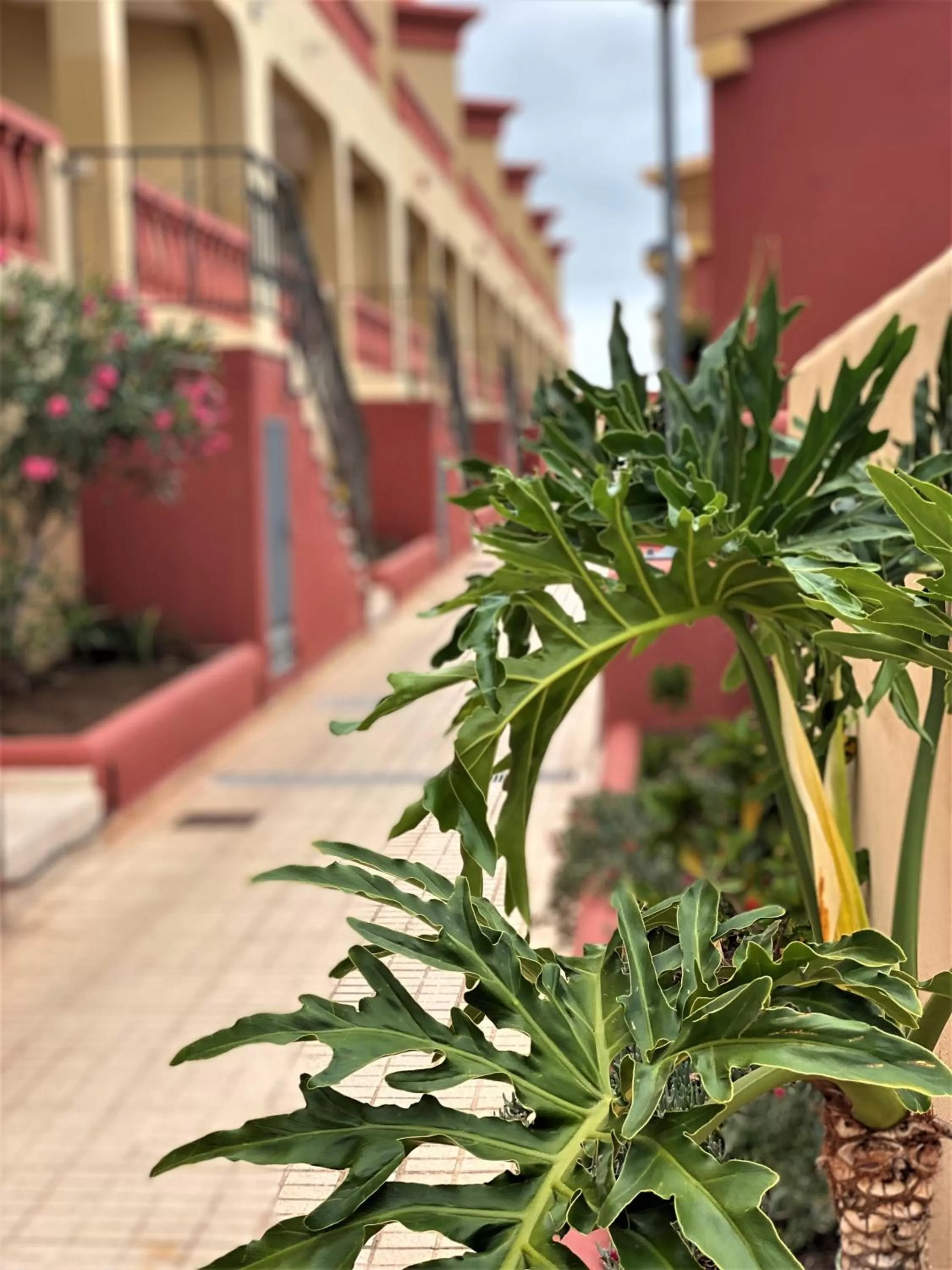 Facade/entrance in Laguna Park 2