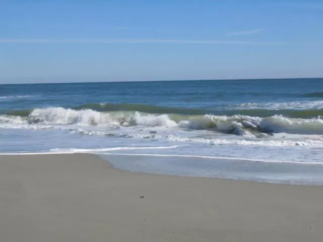 Natural landscape in Suites at the Beach