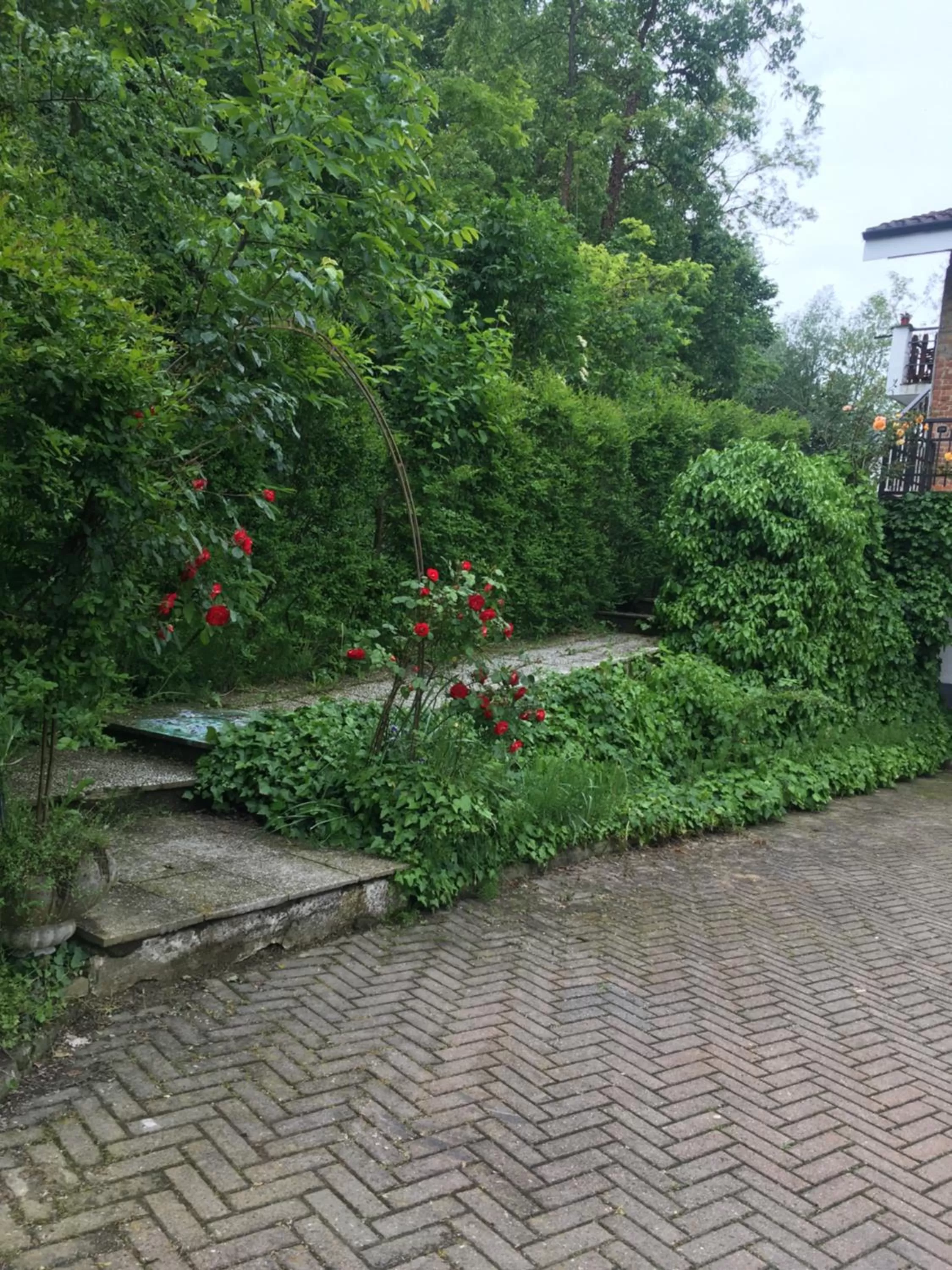 Rossella alla Villarella dei Tulipani