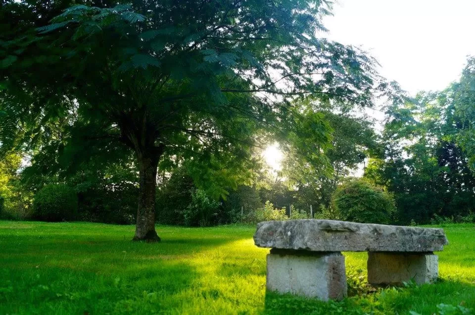 Garden view, Garden in B&B Au Moulin 1771