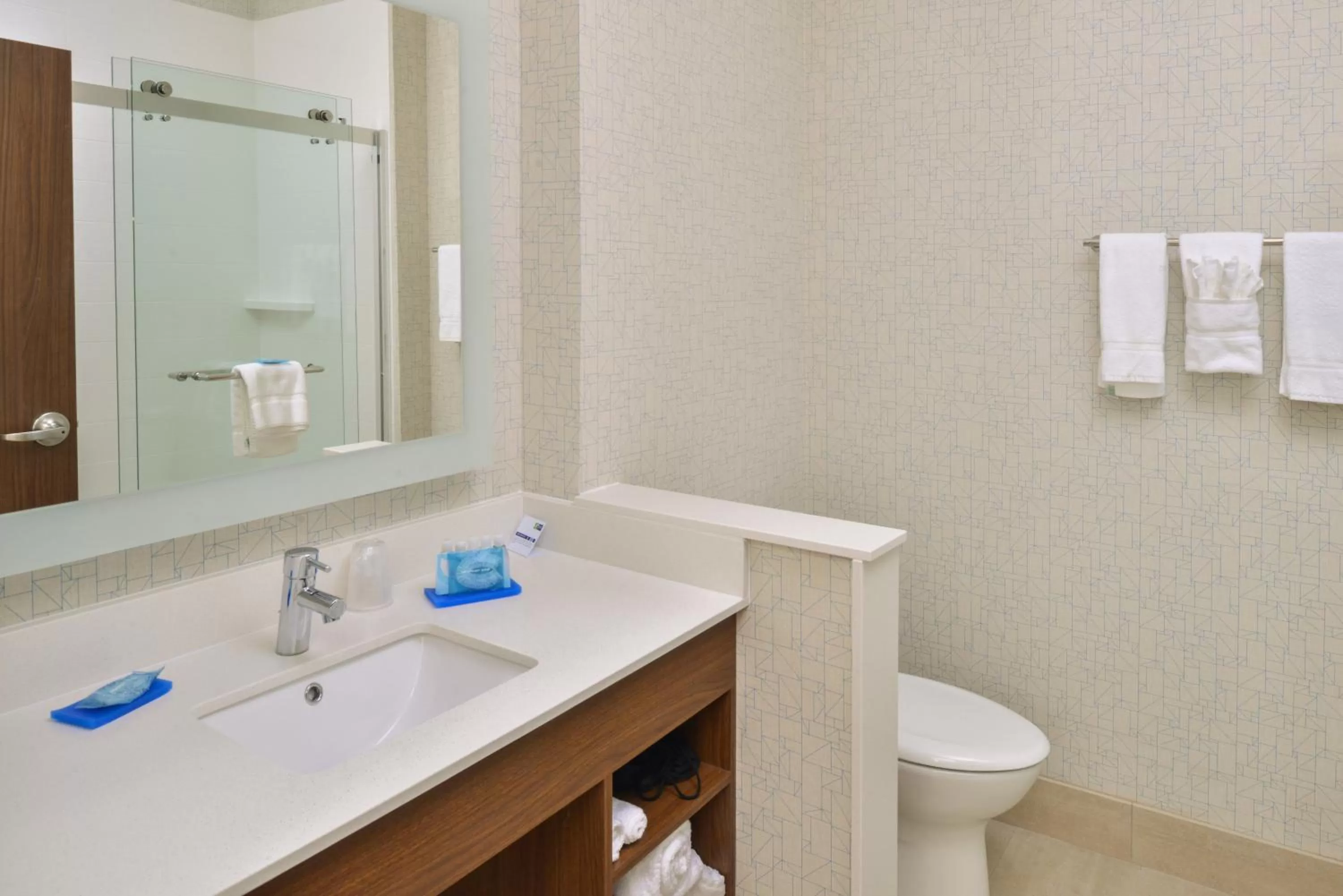 Bathroom in Holiday Inn Express & Suites - Chadron by IHG