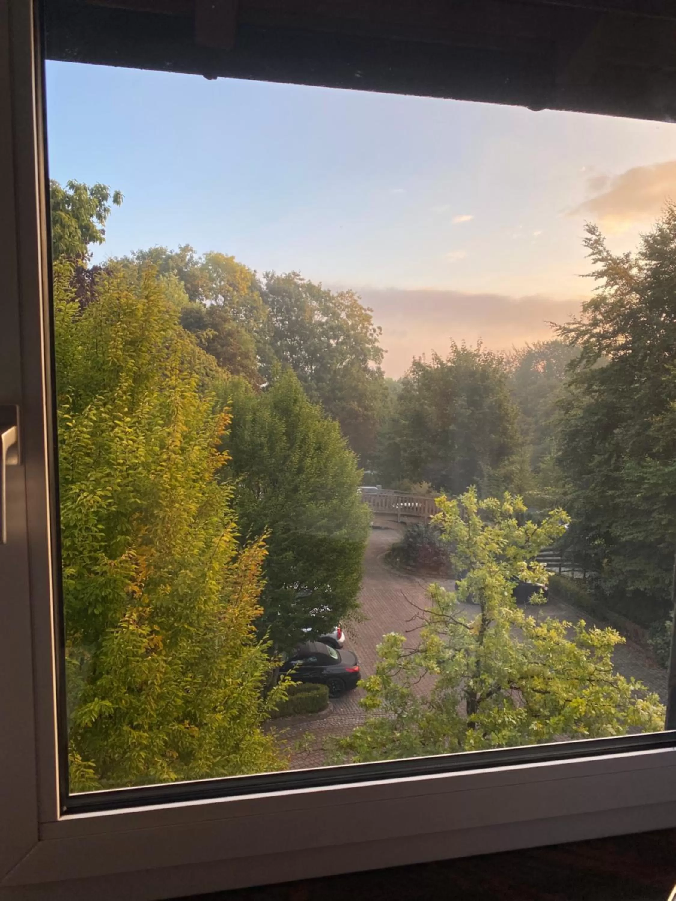 Garden in Hotel Wittekindsquelle