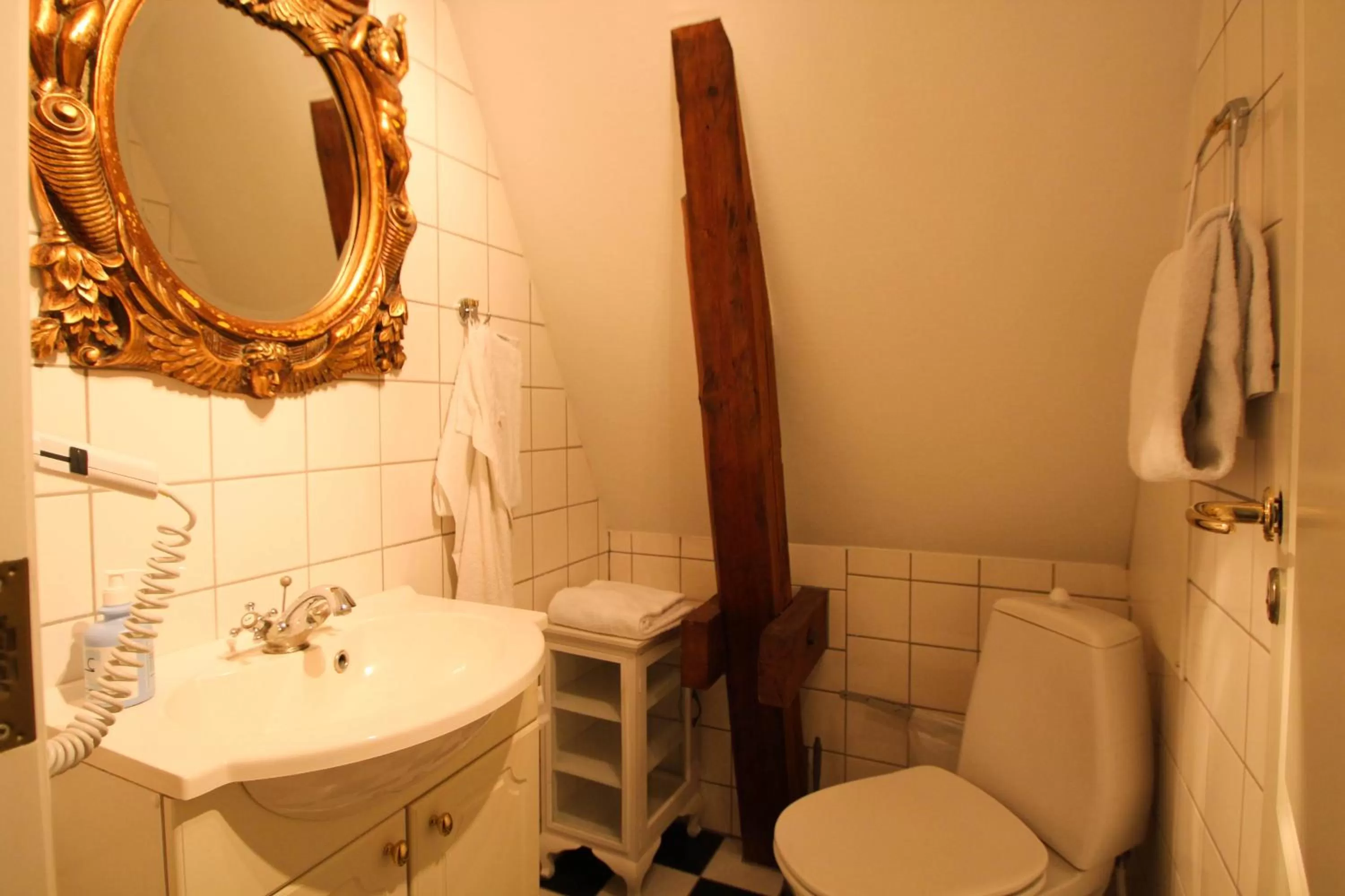 Toilet in Sophiendal Manor