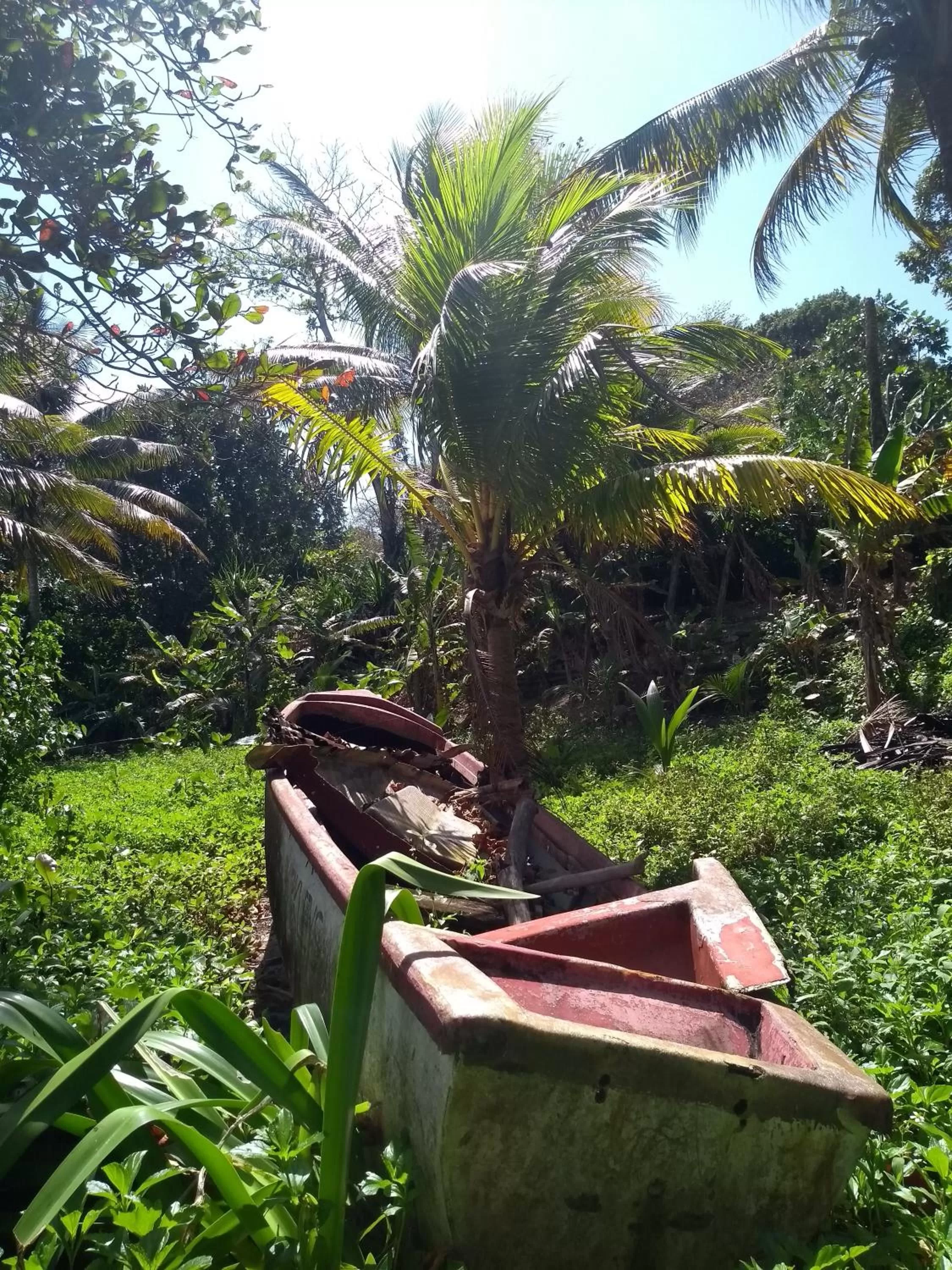 Port Antonio Brian's Beach House