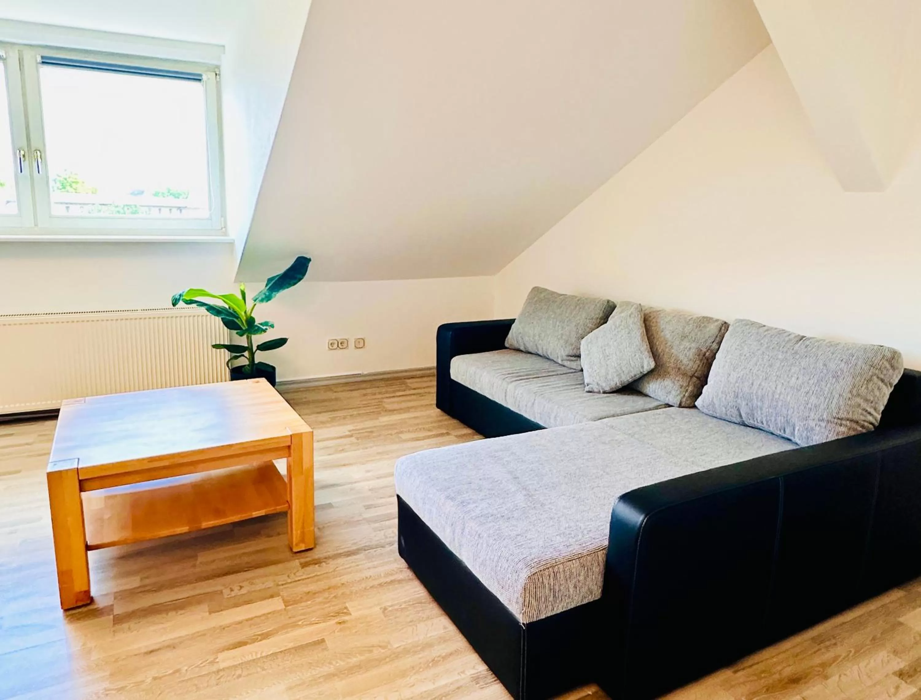 Seating Area in Saale, Marktplatz Zentrum, Apartmenthaus am Dom von Plant Room