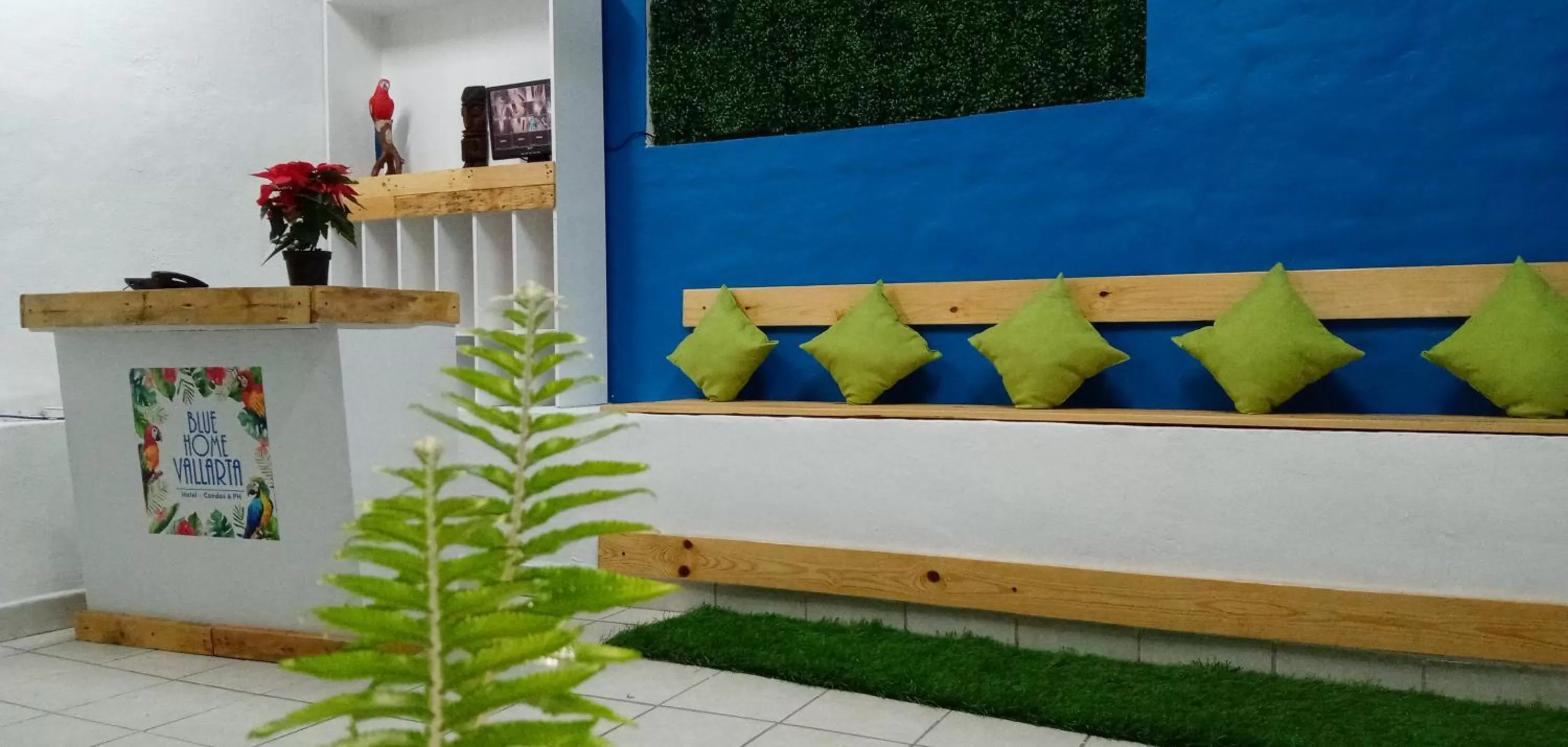 Lobby or reception in Hotel Blue Home Vallarta