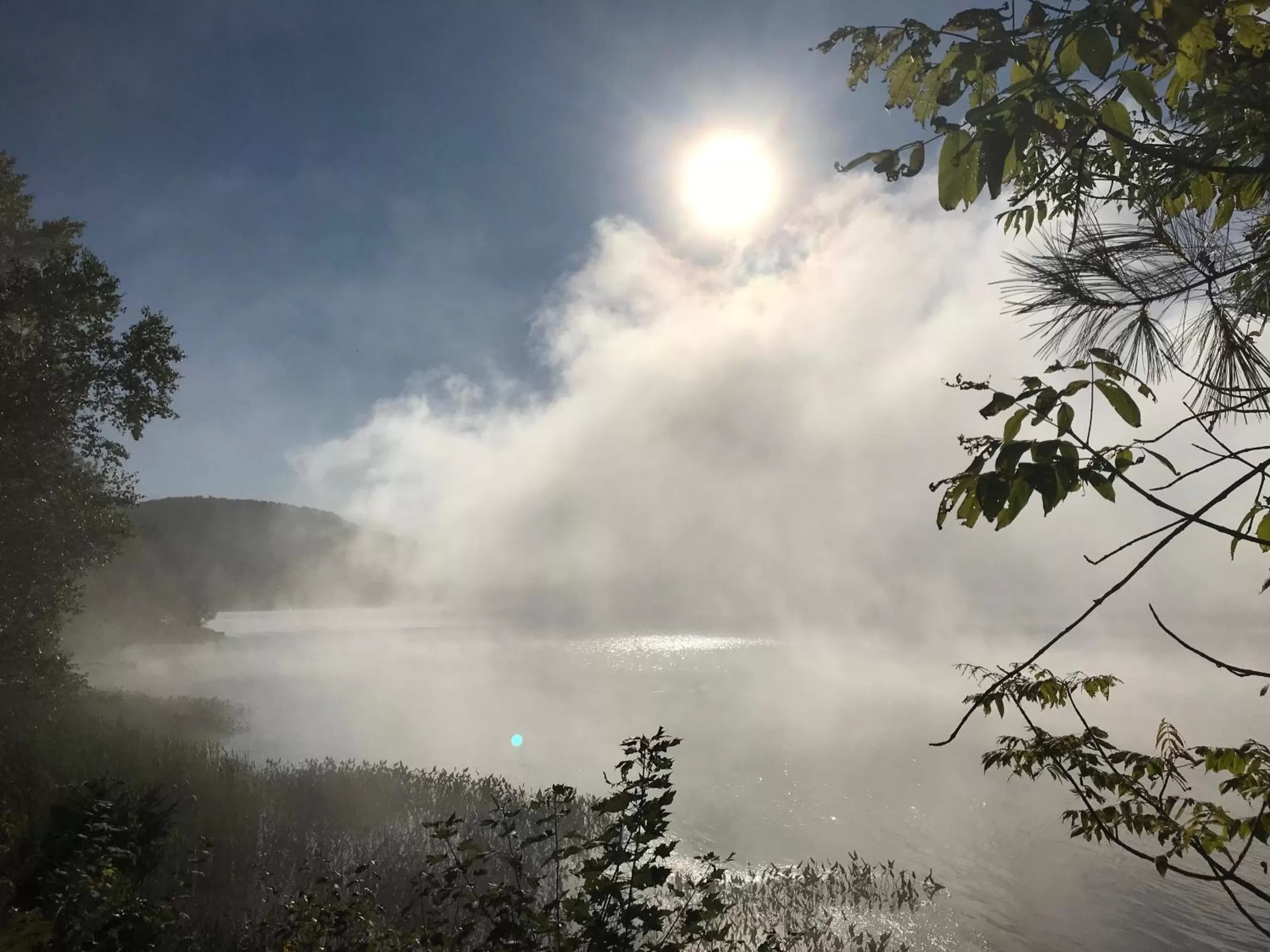 View (from property/room) in Les Dames du Lac