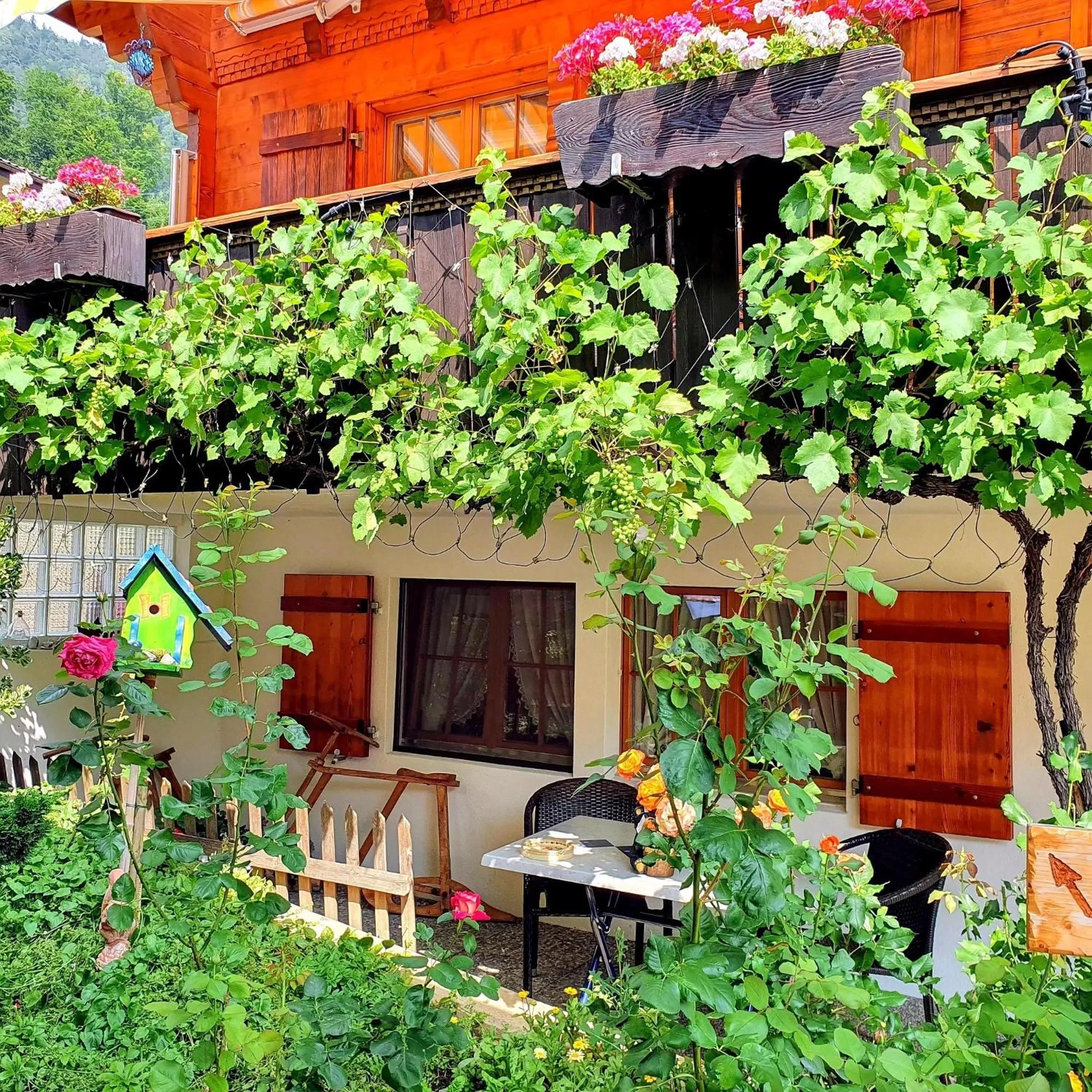 Facade/entrance in Chalet-Gafri - BnB - Frühstückspension und Gastfreundschaft