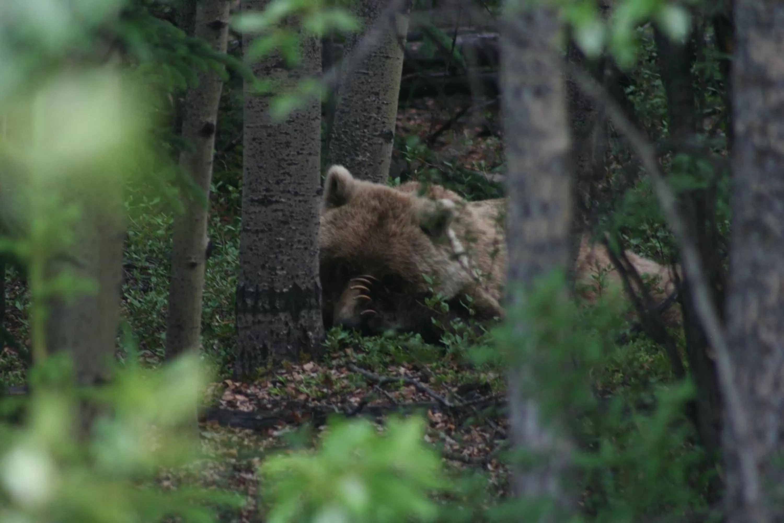 Area and facilities in Parkside Inn