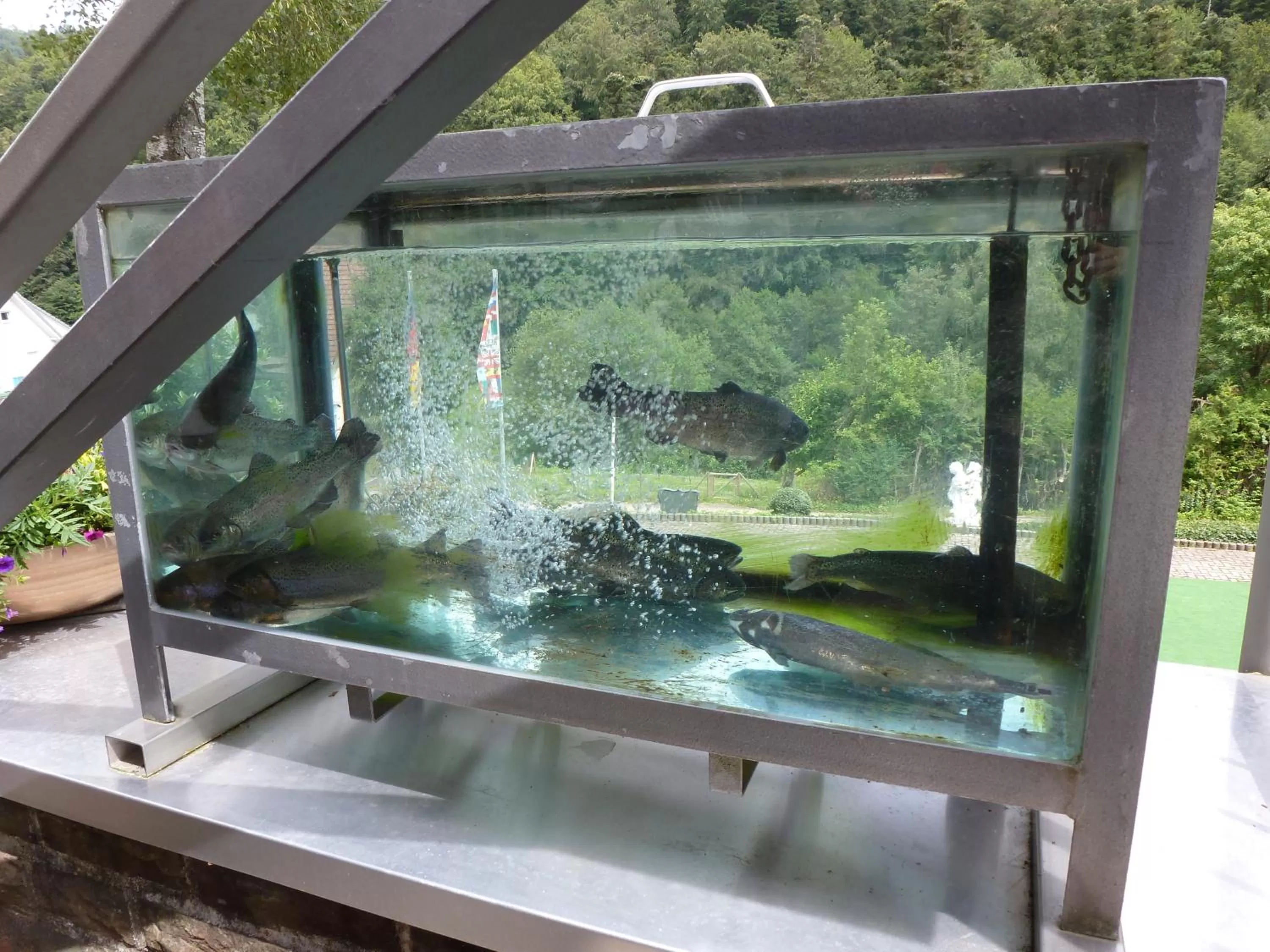 Other in Waldschlösschen