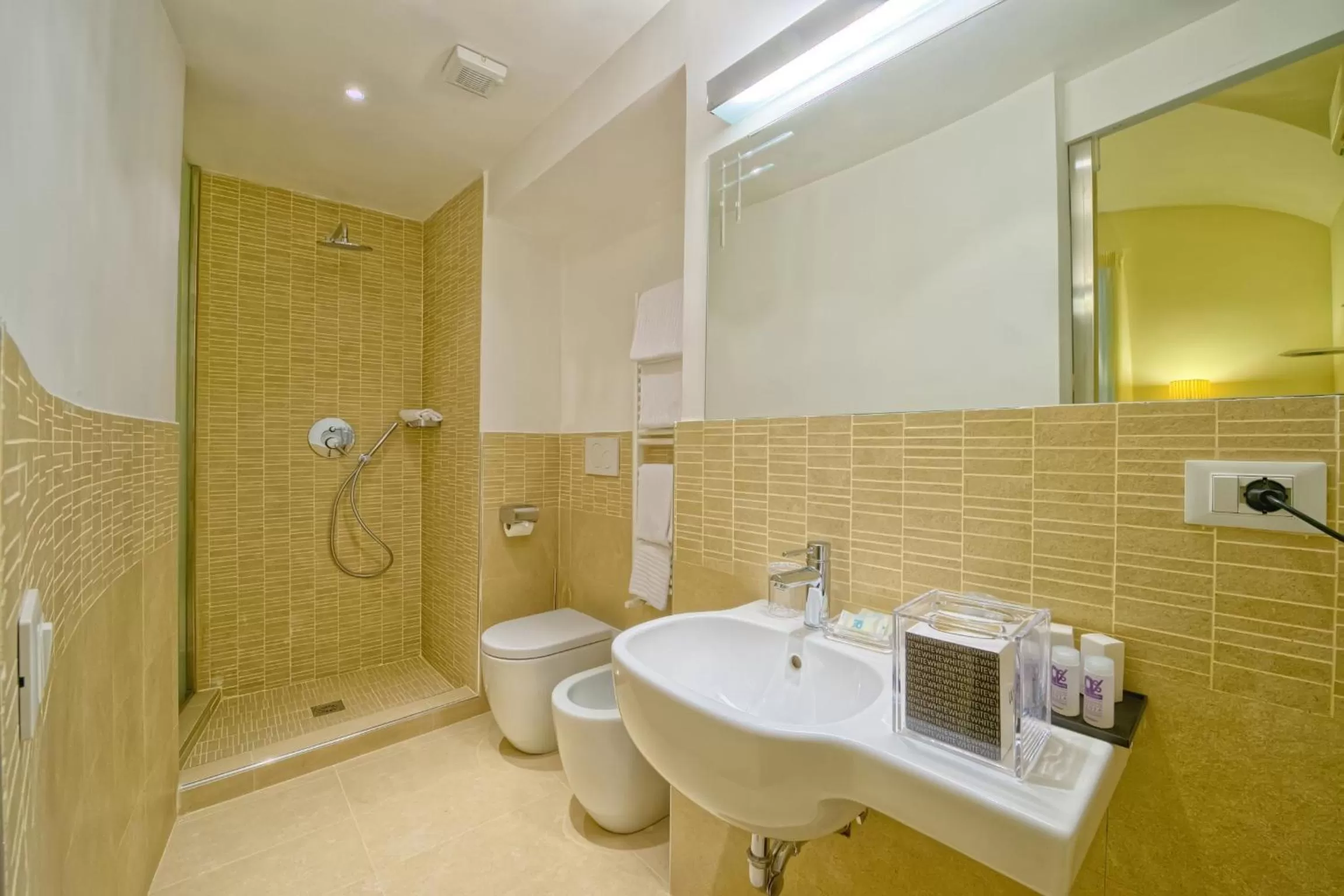 Shower in Star Vatican Rooms