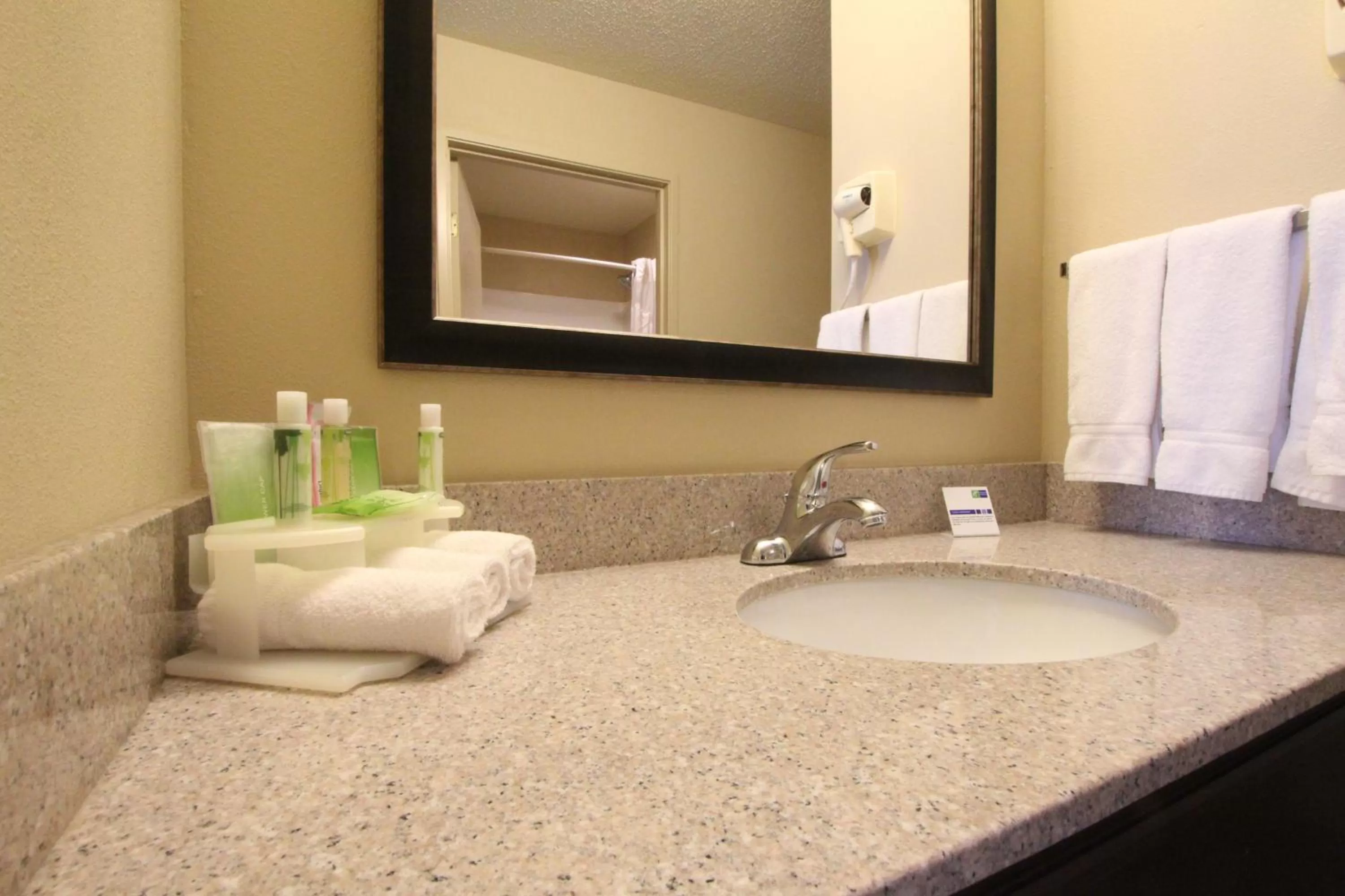 Bathroom in Holiday Inn Express & Suites Chicago-Libertyville by IHG