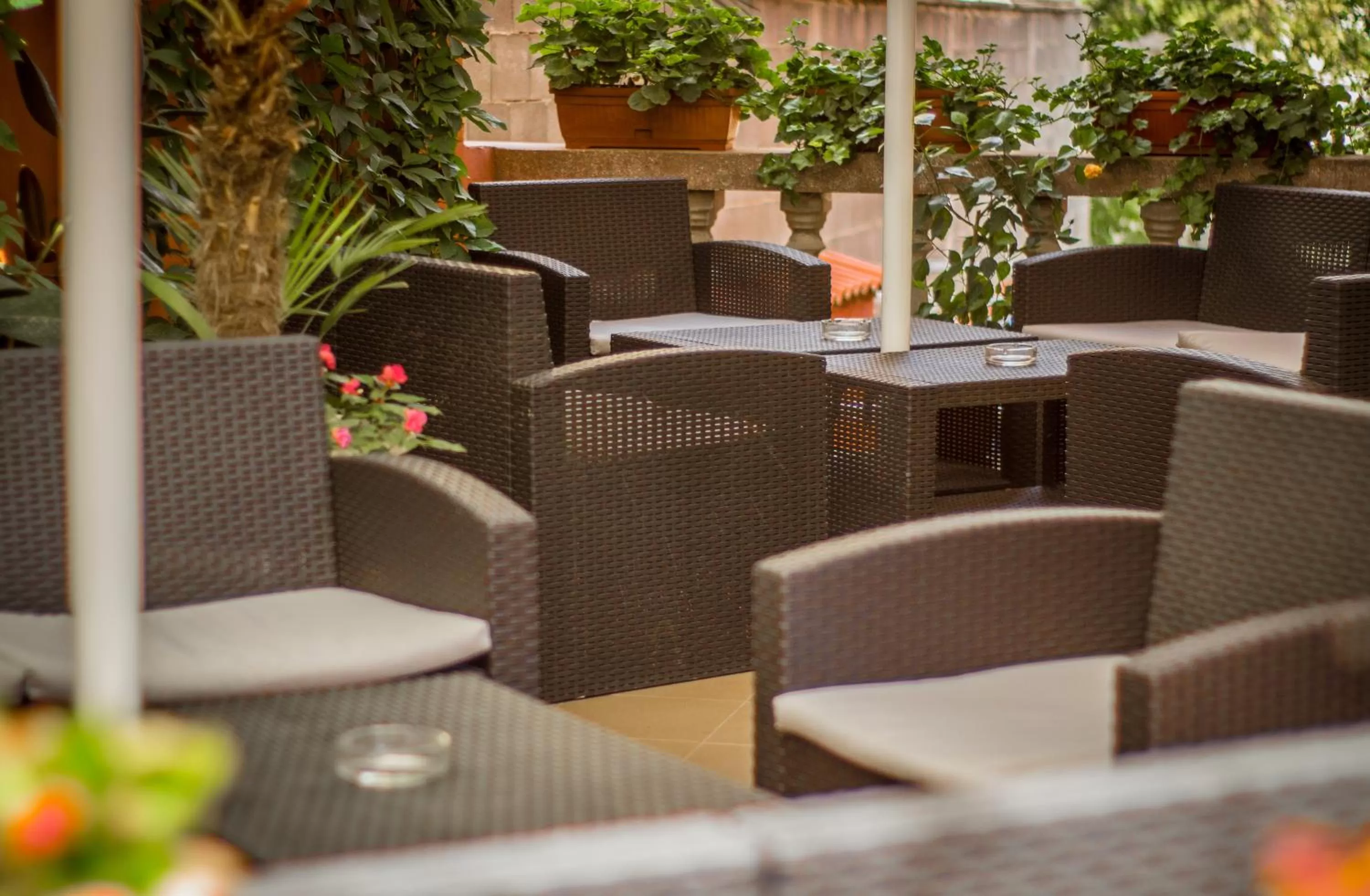 Patio in Family Hotel Saint Iliya