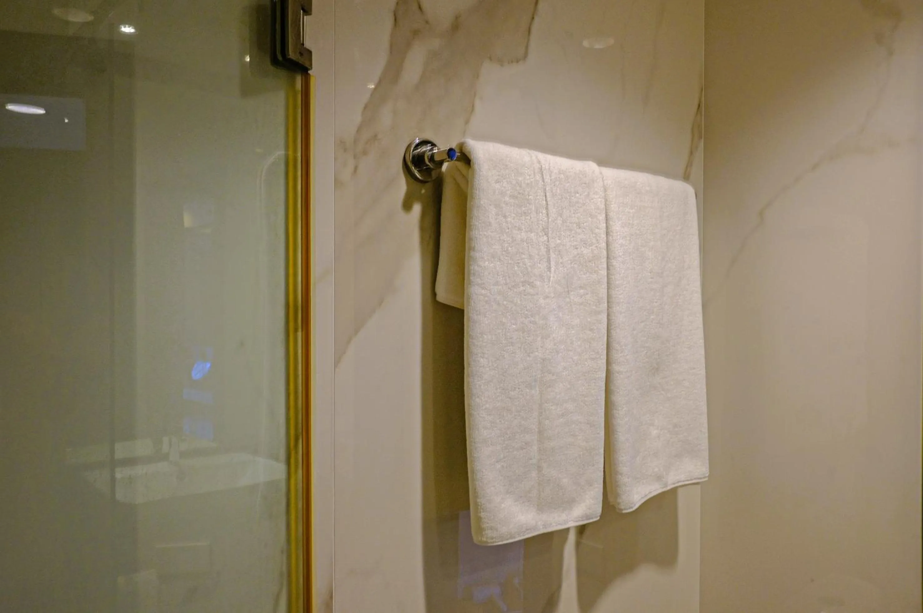 Shower in Nova Platinum Hotel