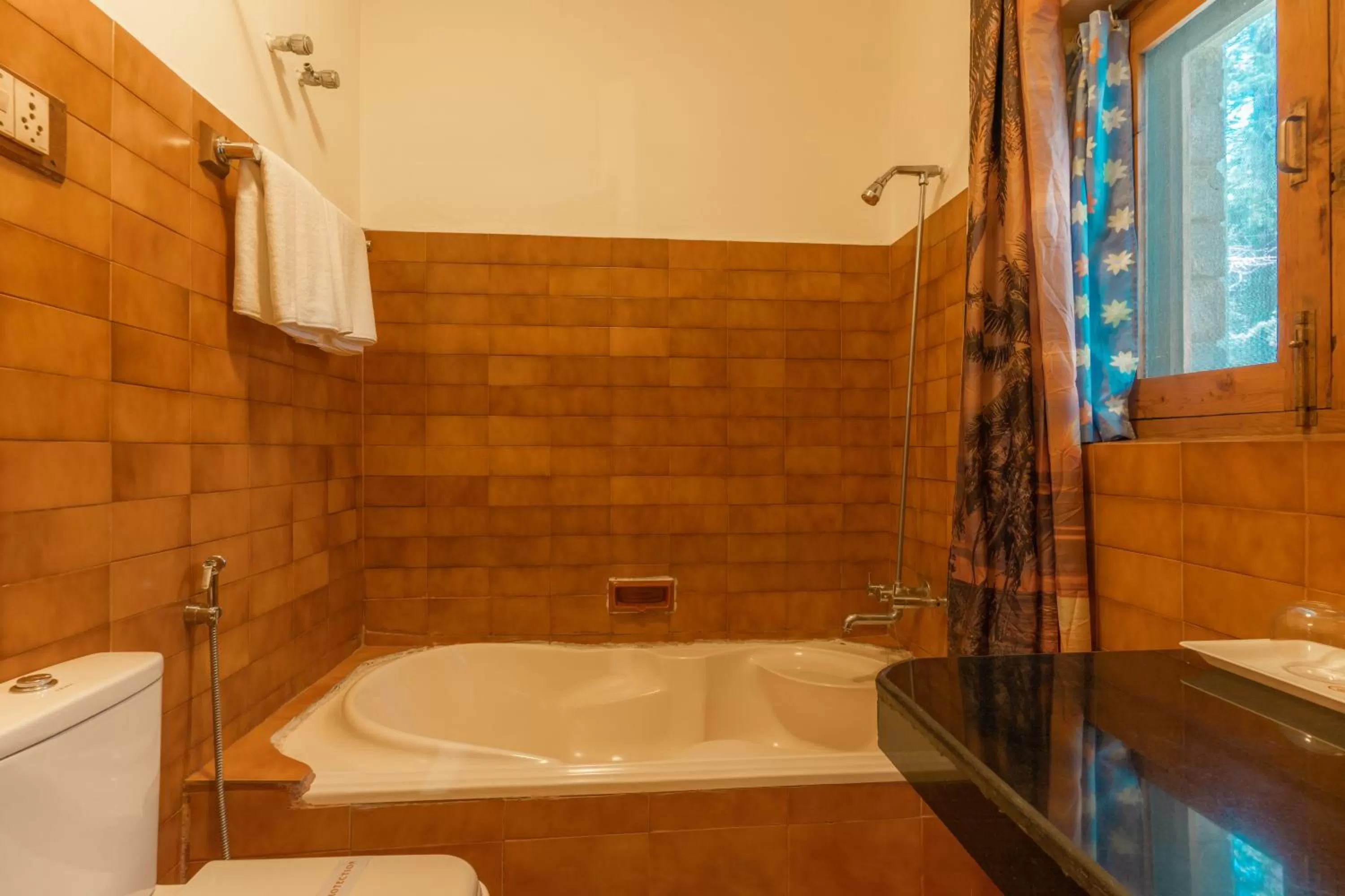 Solarium in Hotel Negi's Mayflower A heritage Since 1965