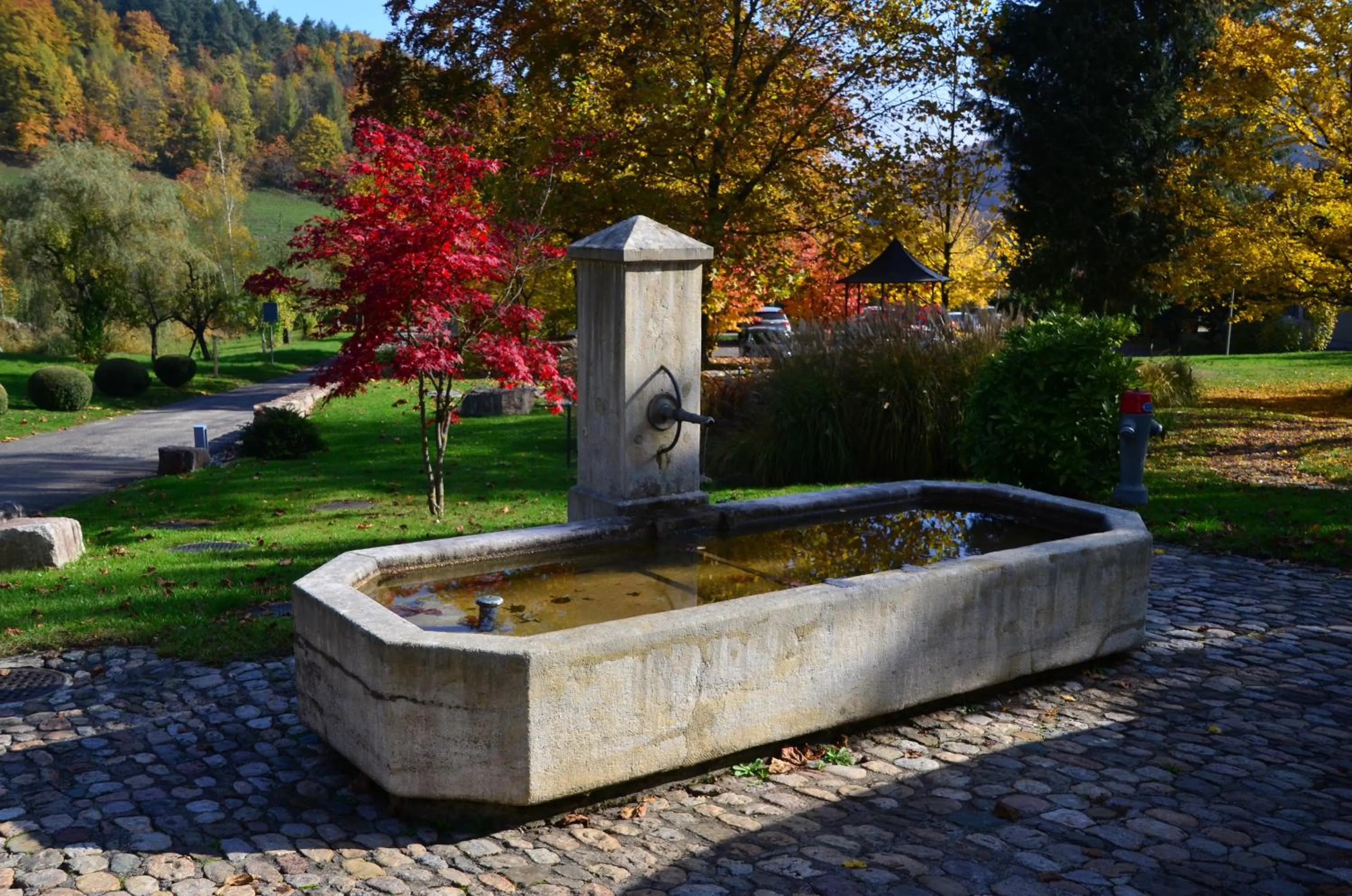 Day in Bad Schauenburg