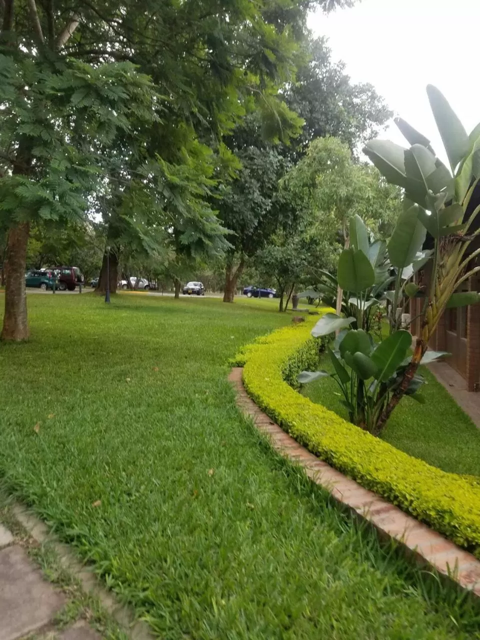 Garden in Ufulu Gardens Hotel