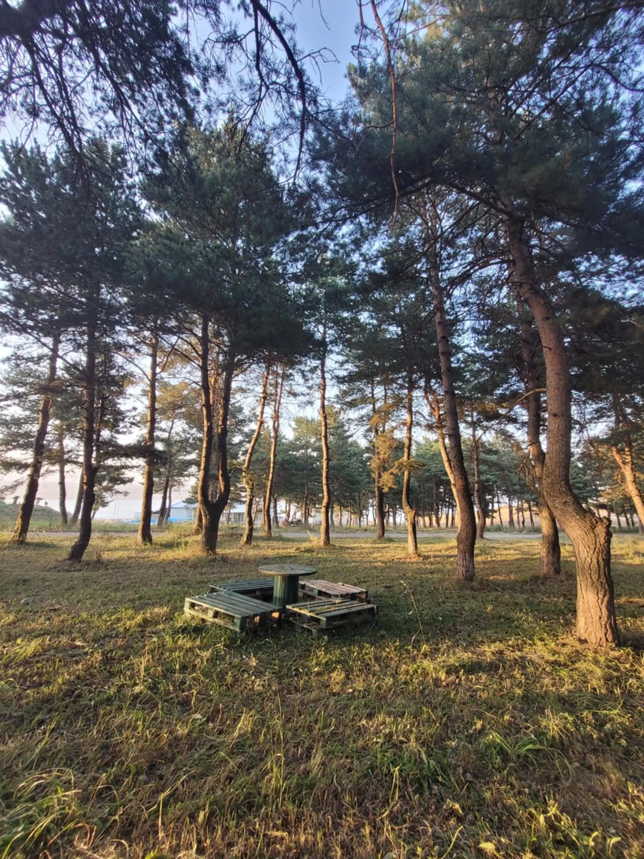 Spring, Garden in Tsalka
