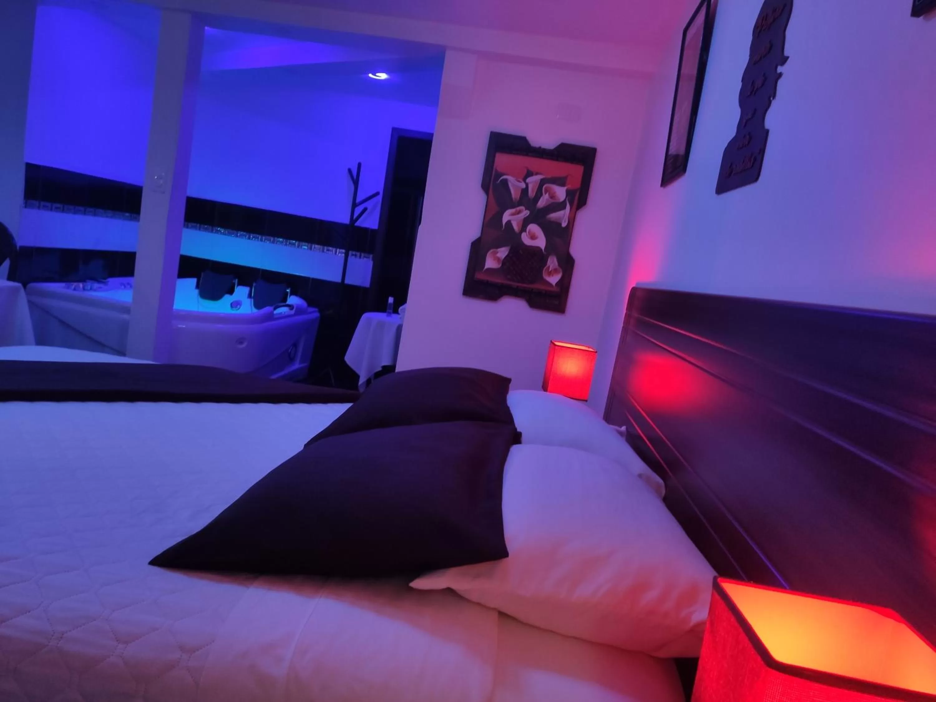 Bed in Hotel el Che No apto para corruptos