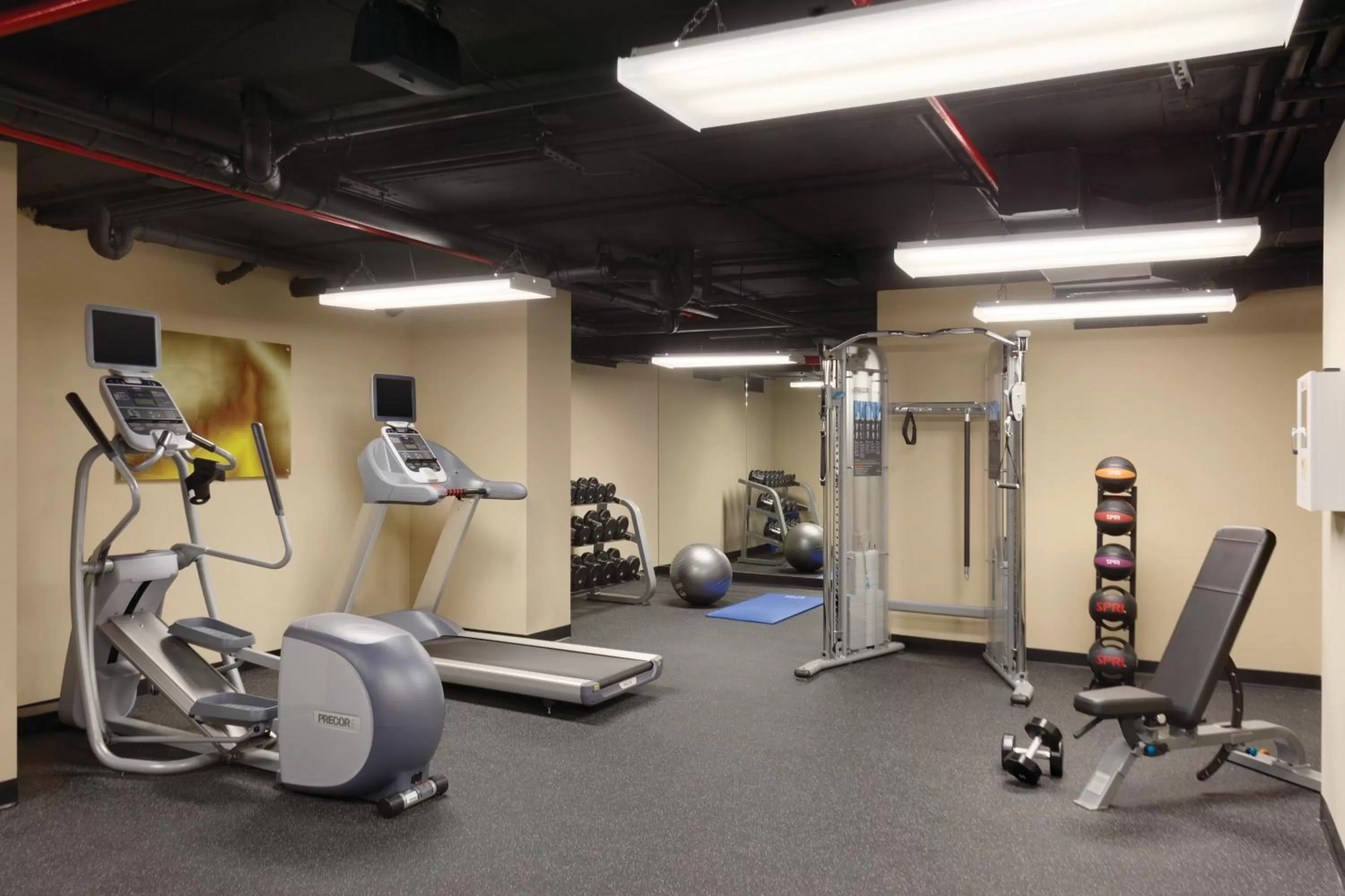 Fitness centre/facilities in Executive Hotel Le Soleil New York