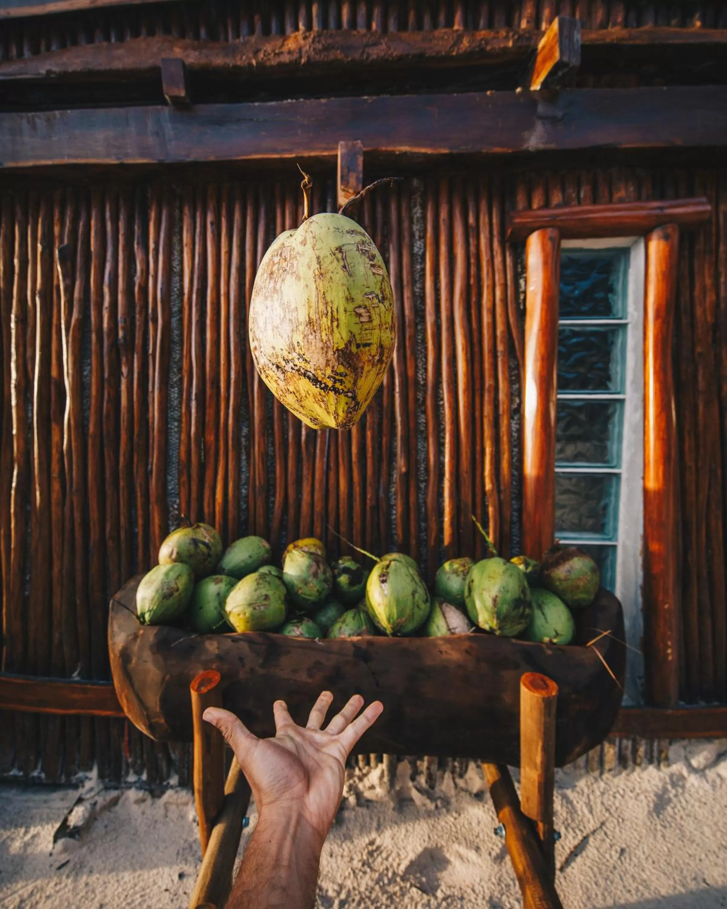 Lounge or bar in Hotelito Azul