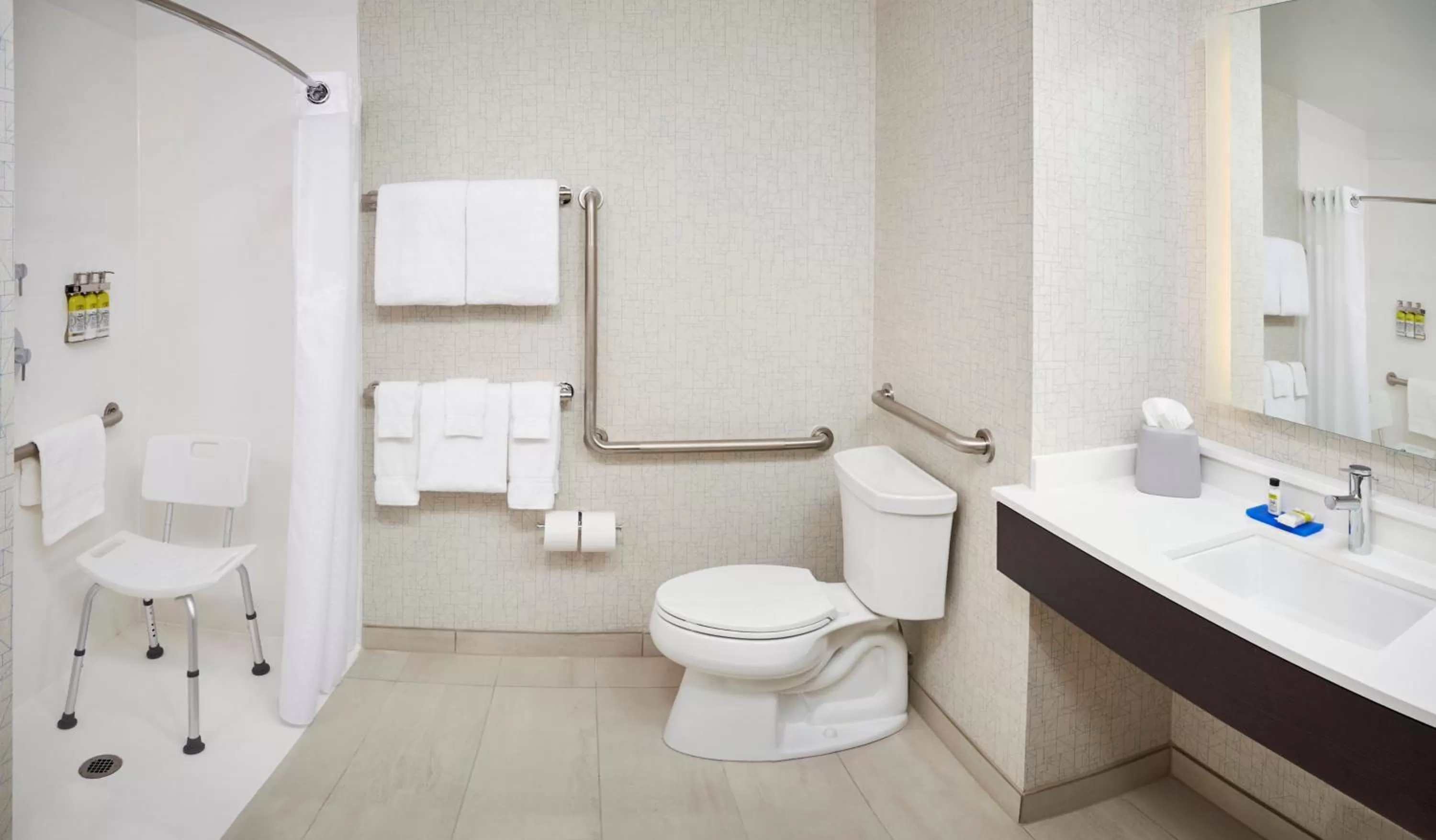 Bathroom in Holiday Inn Express & Suites Windsor East - Lakeshore by IHG