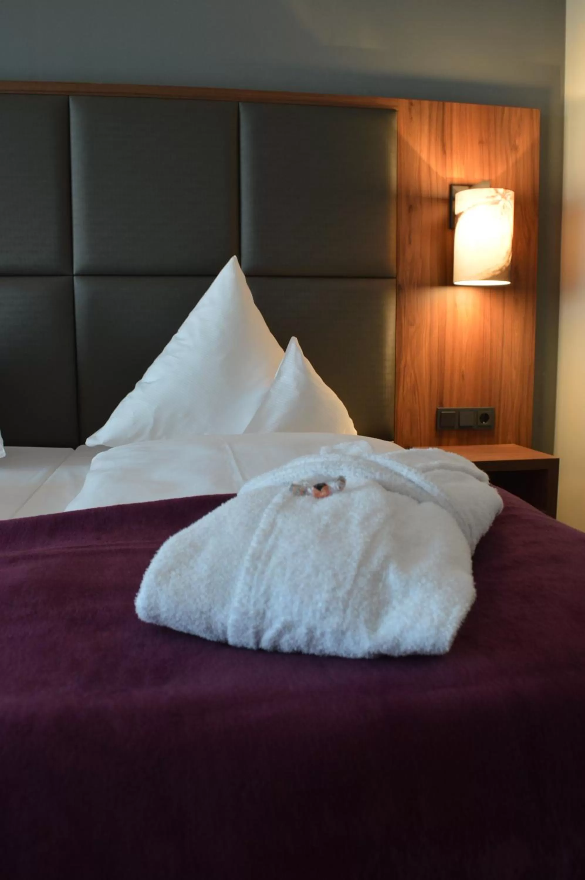 Photo of the whole room, Bed in Sante Royale Hotel- & Gesundheitsresort Bad Langensalza