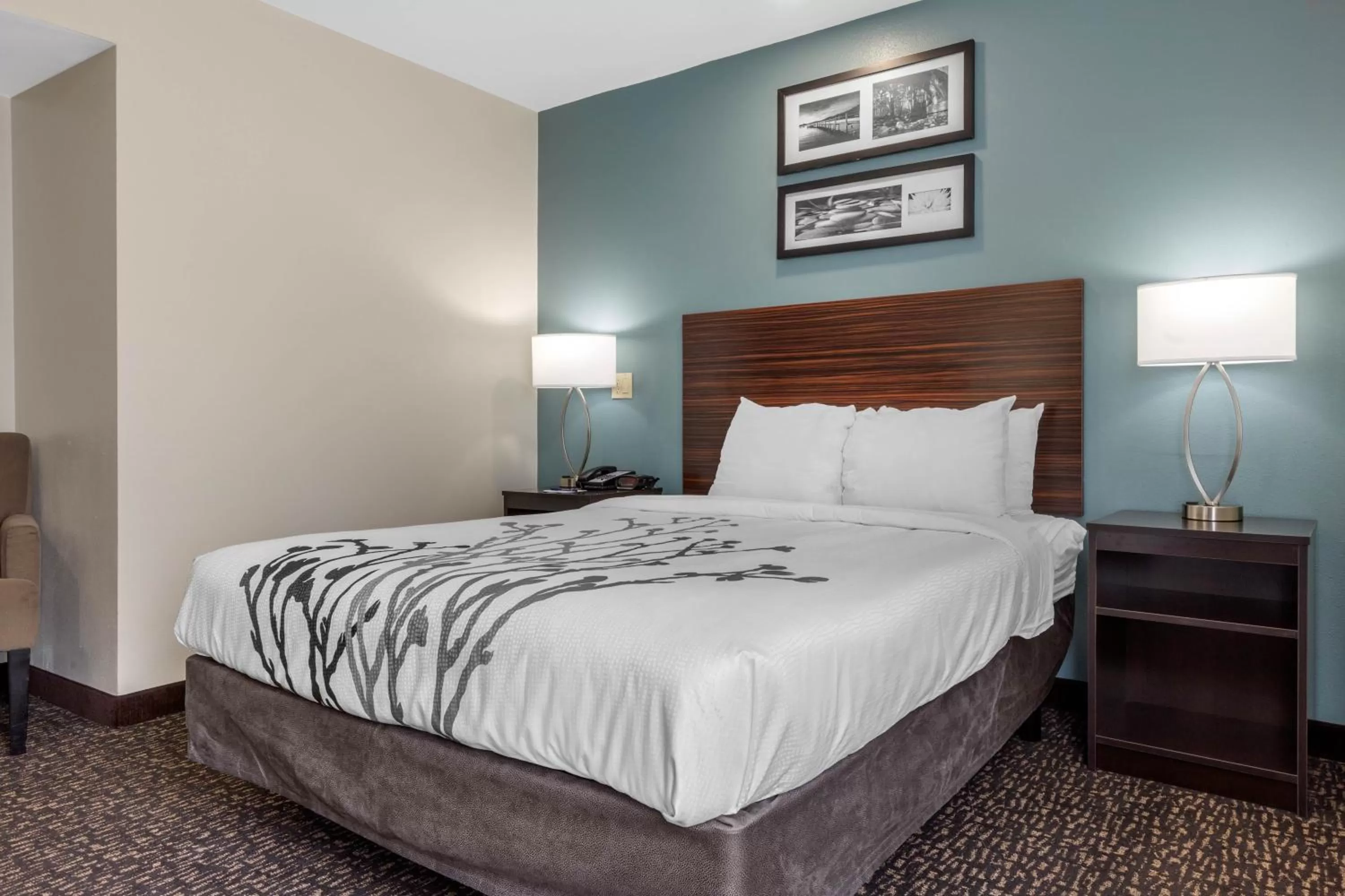 Facility for disabled guests, Bed in Sleep Inn & Suites