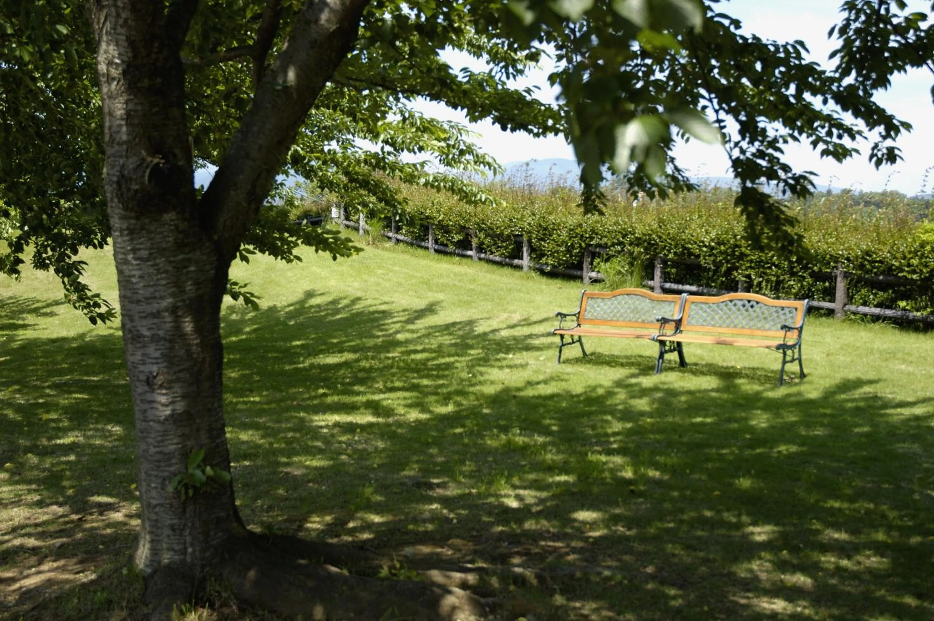 Garden in Hotel Laforet Shuzenji
