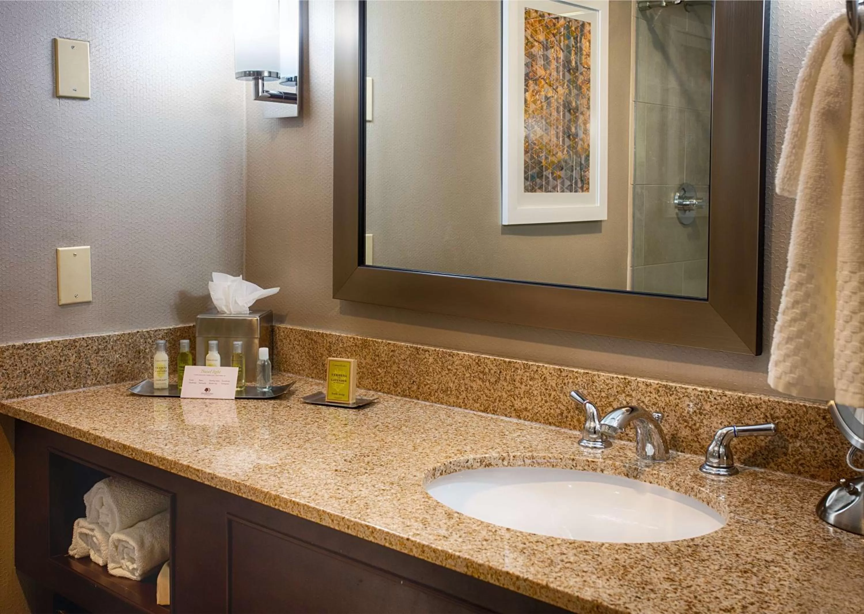 Bathroom in DoubleTree by Hilton Denver/Westminister