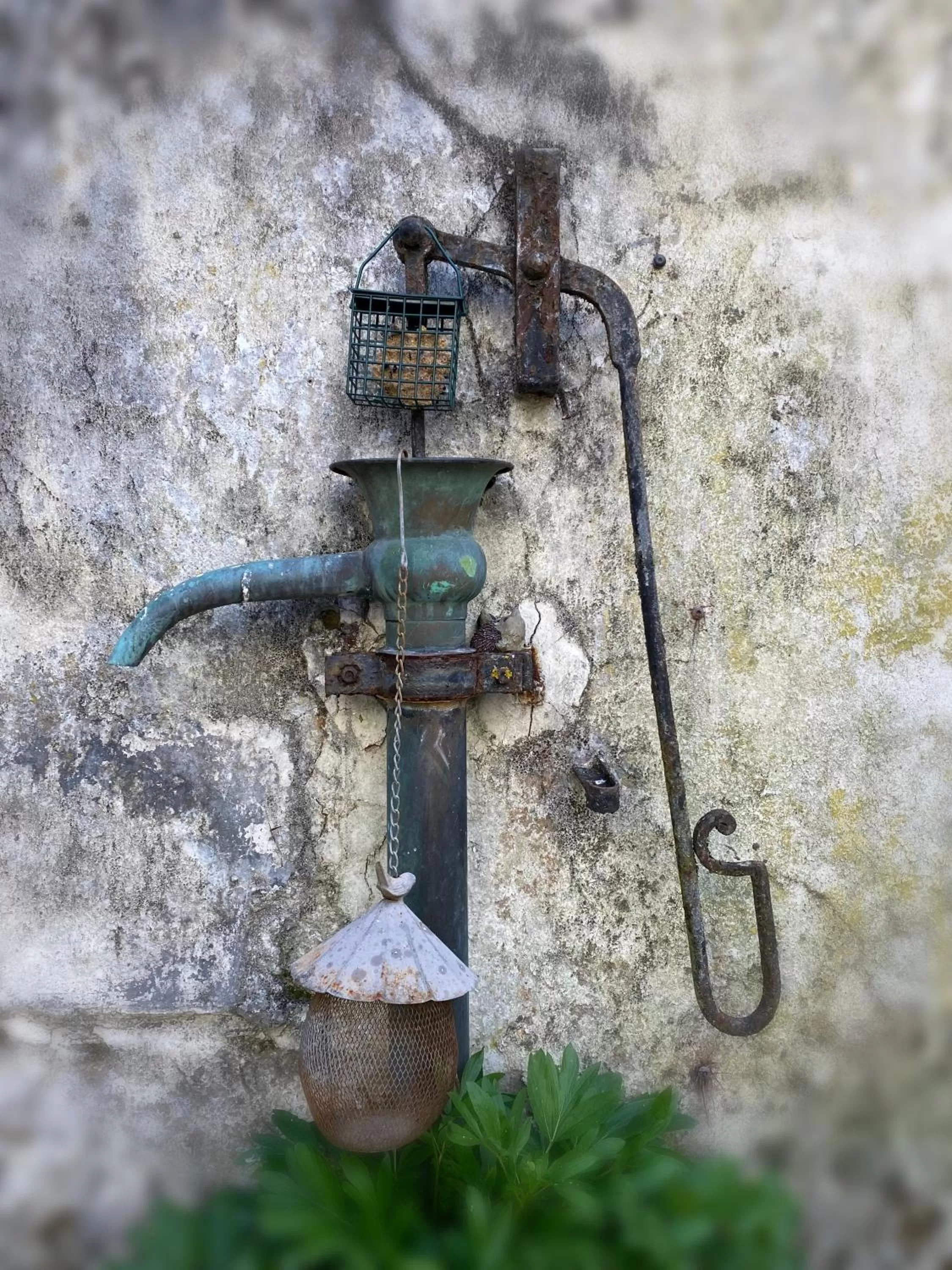 Other Animals in Serendipity Eymet B&B