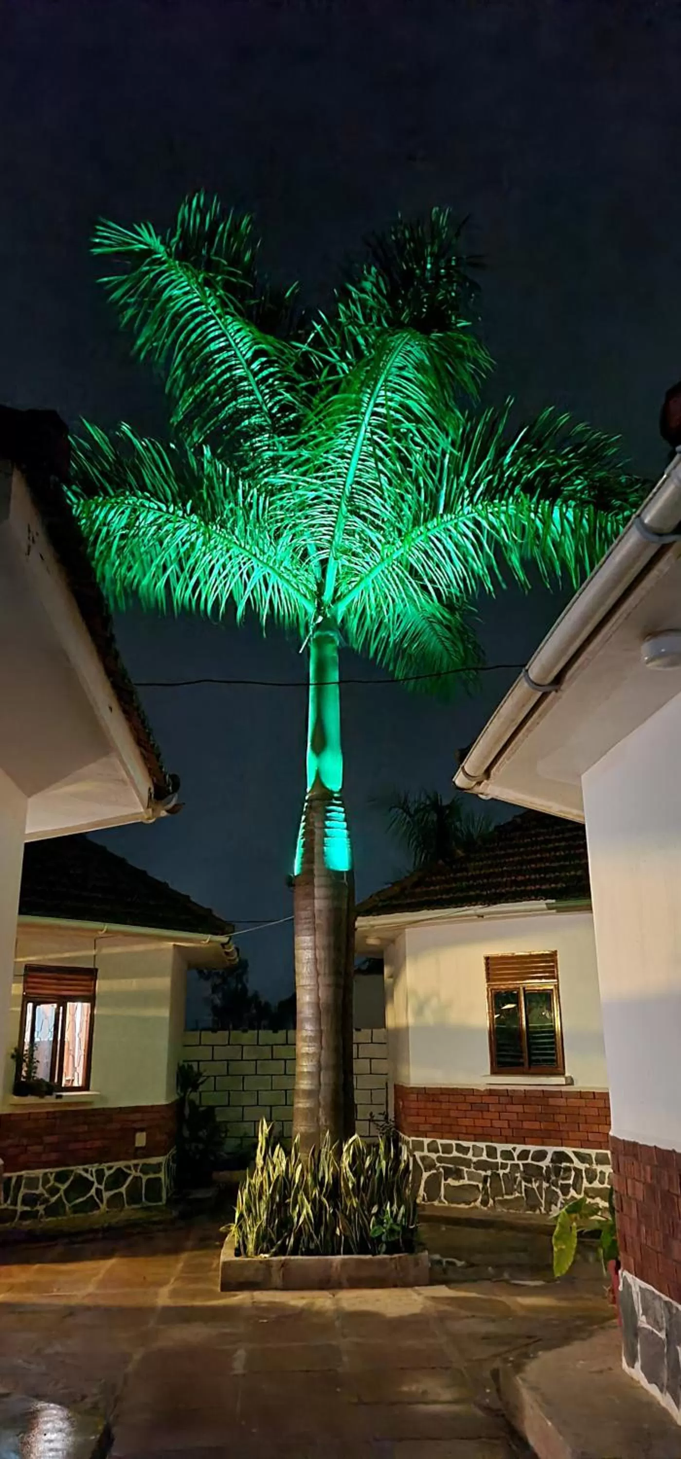 Property building in Northern Pearl