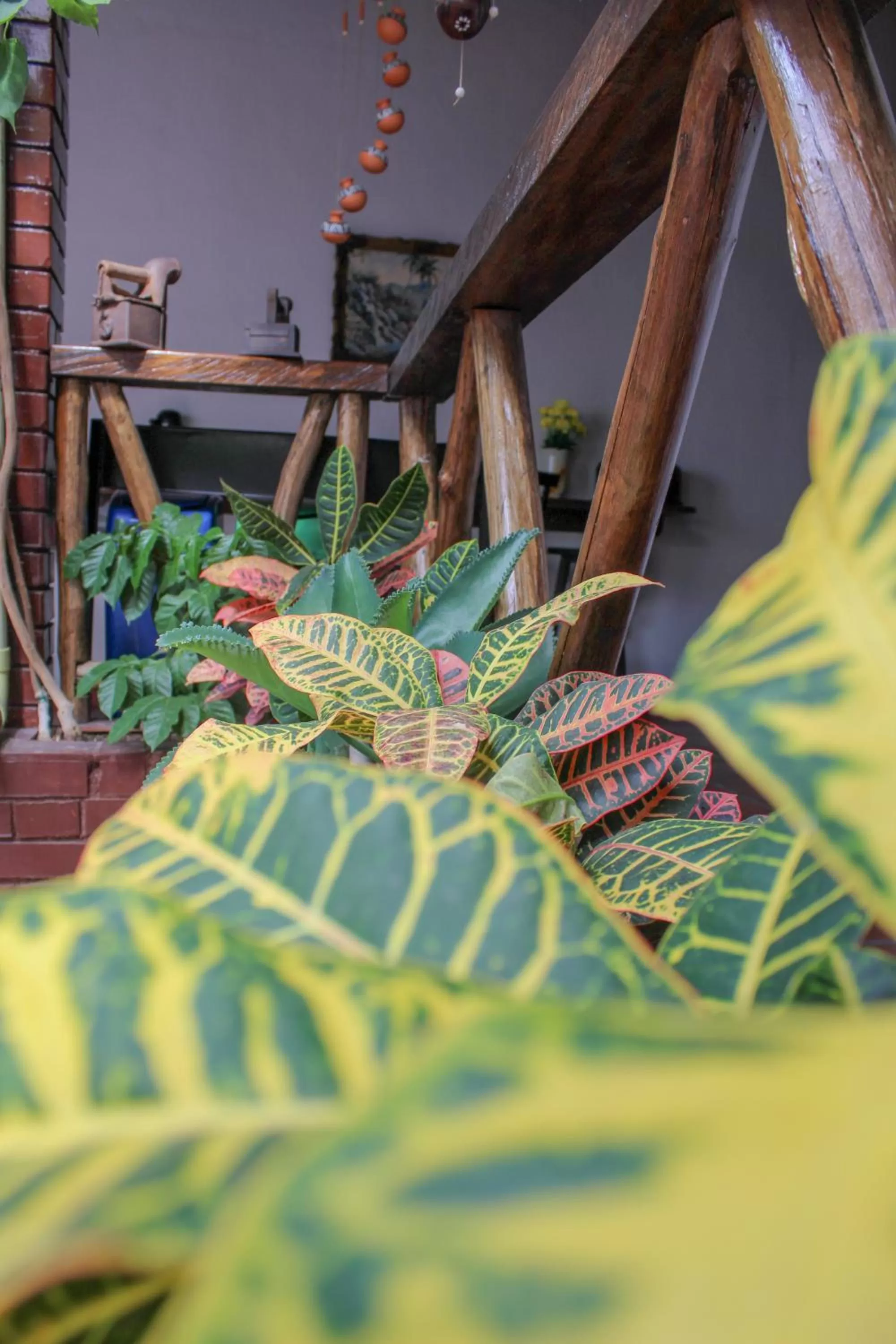 Seating area in Hotel Colonial San Felipe