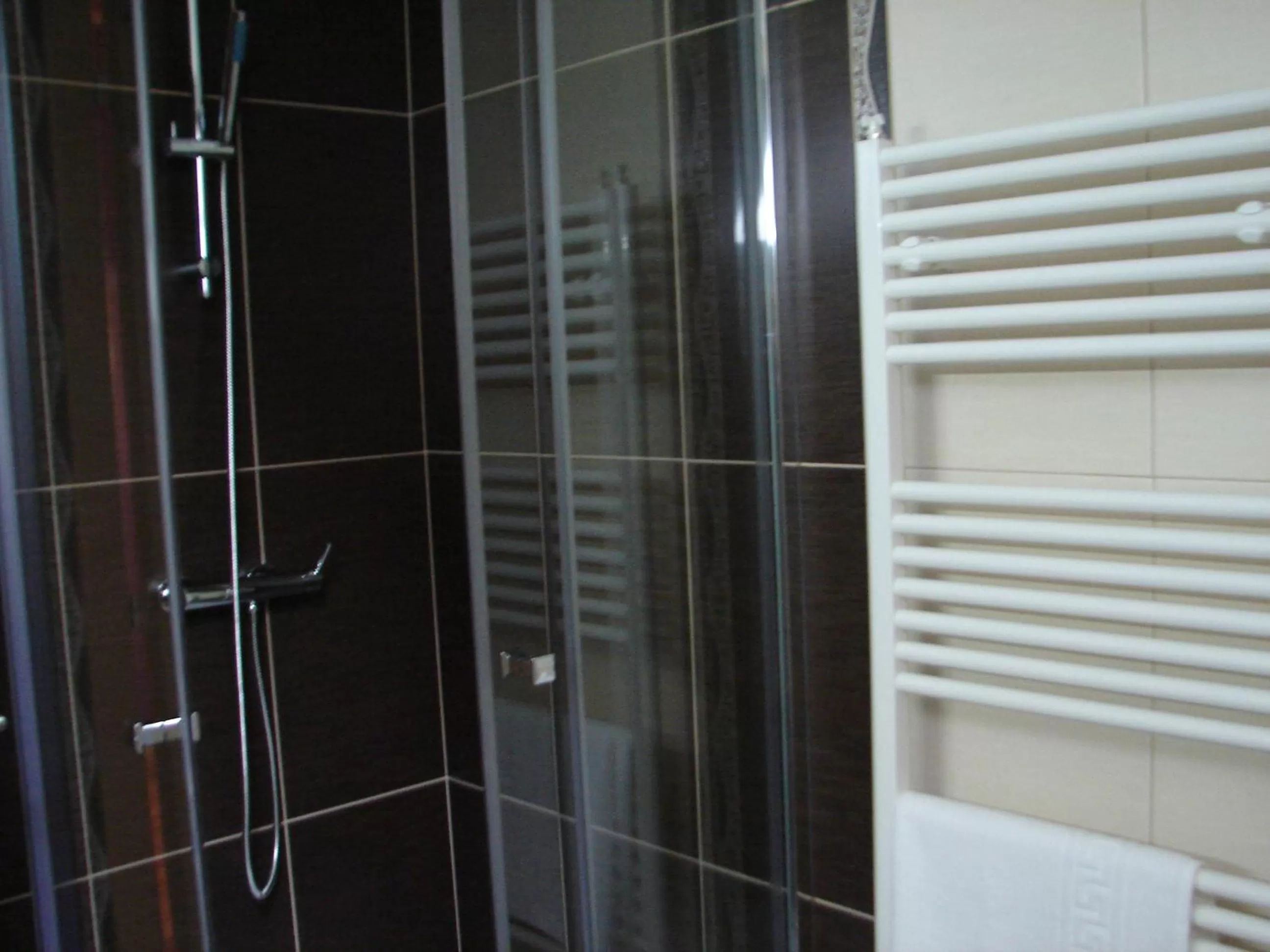 Shower, Bathroom in Casa do Lagar de Tazem