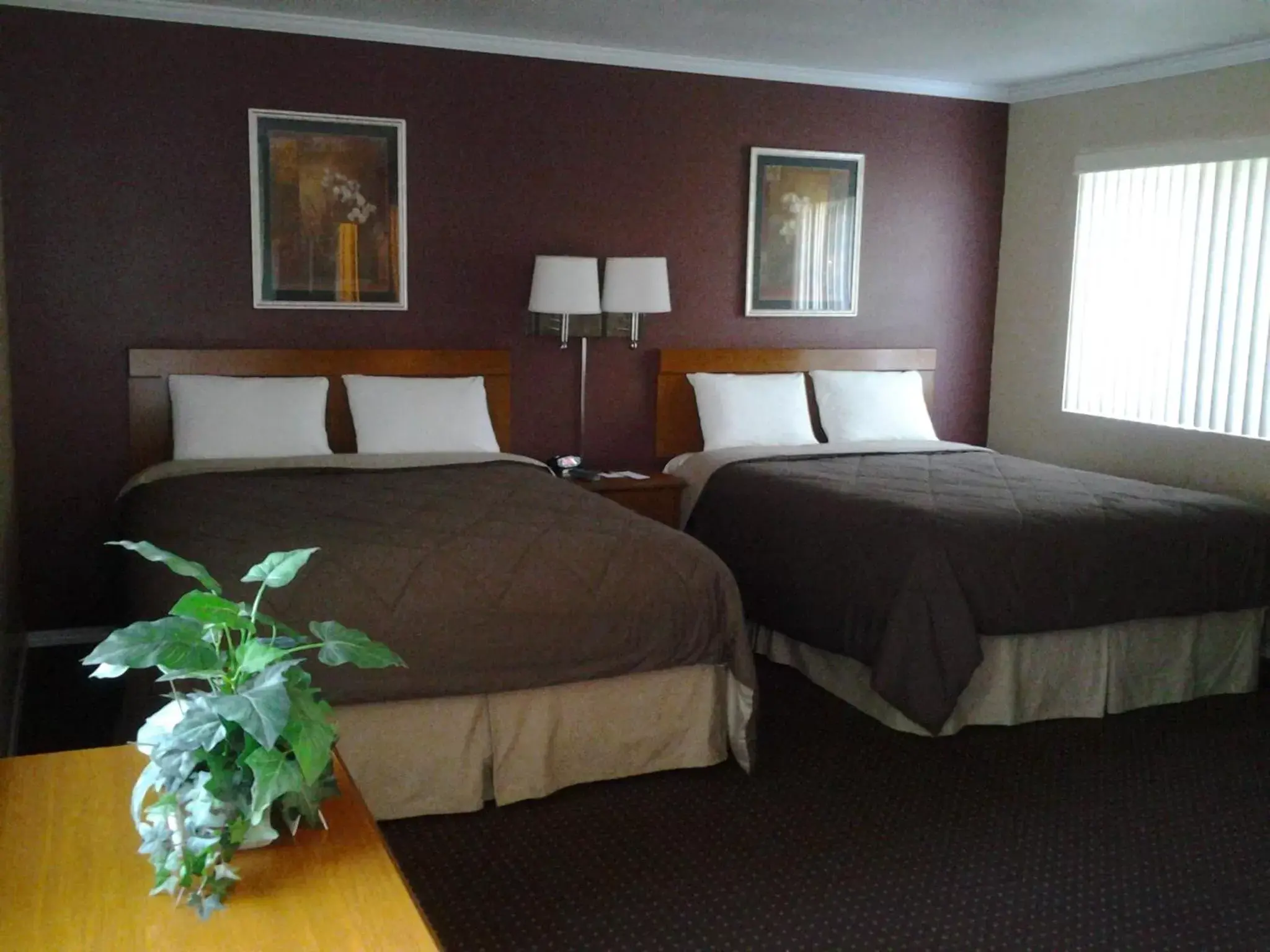 Queen Room with Two Queen Beds in Maple Leaf Motel Queen Room with Two Queen Beds in Maple Leaf Motel
